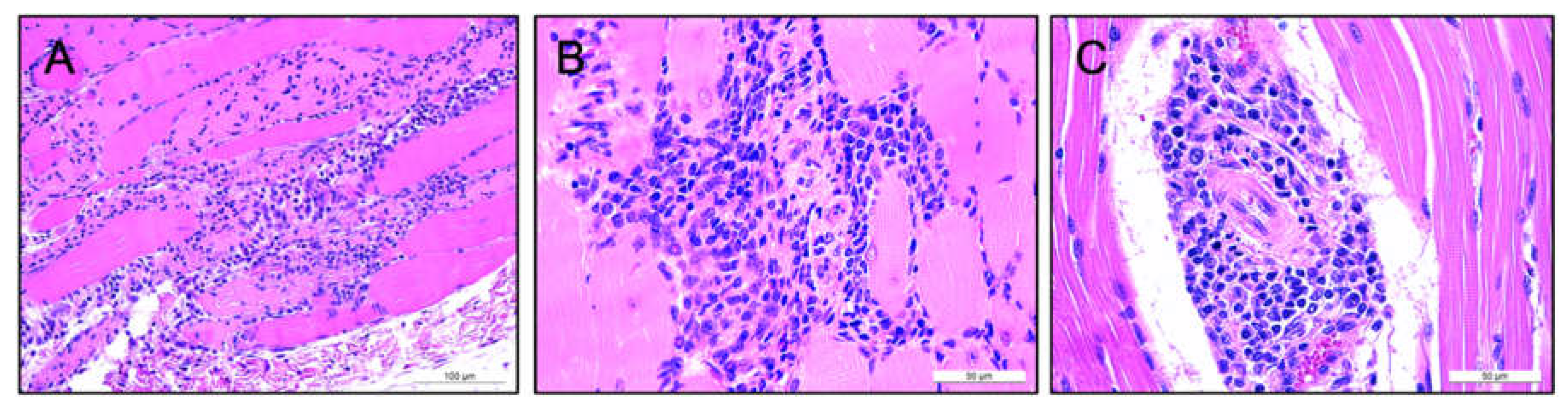 Biomedicines 09 01186 g004