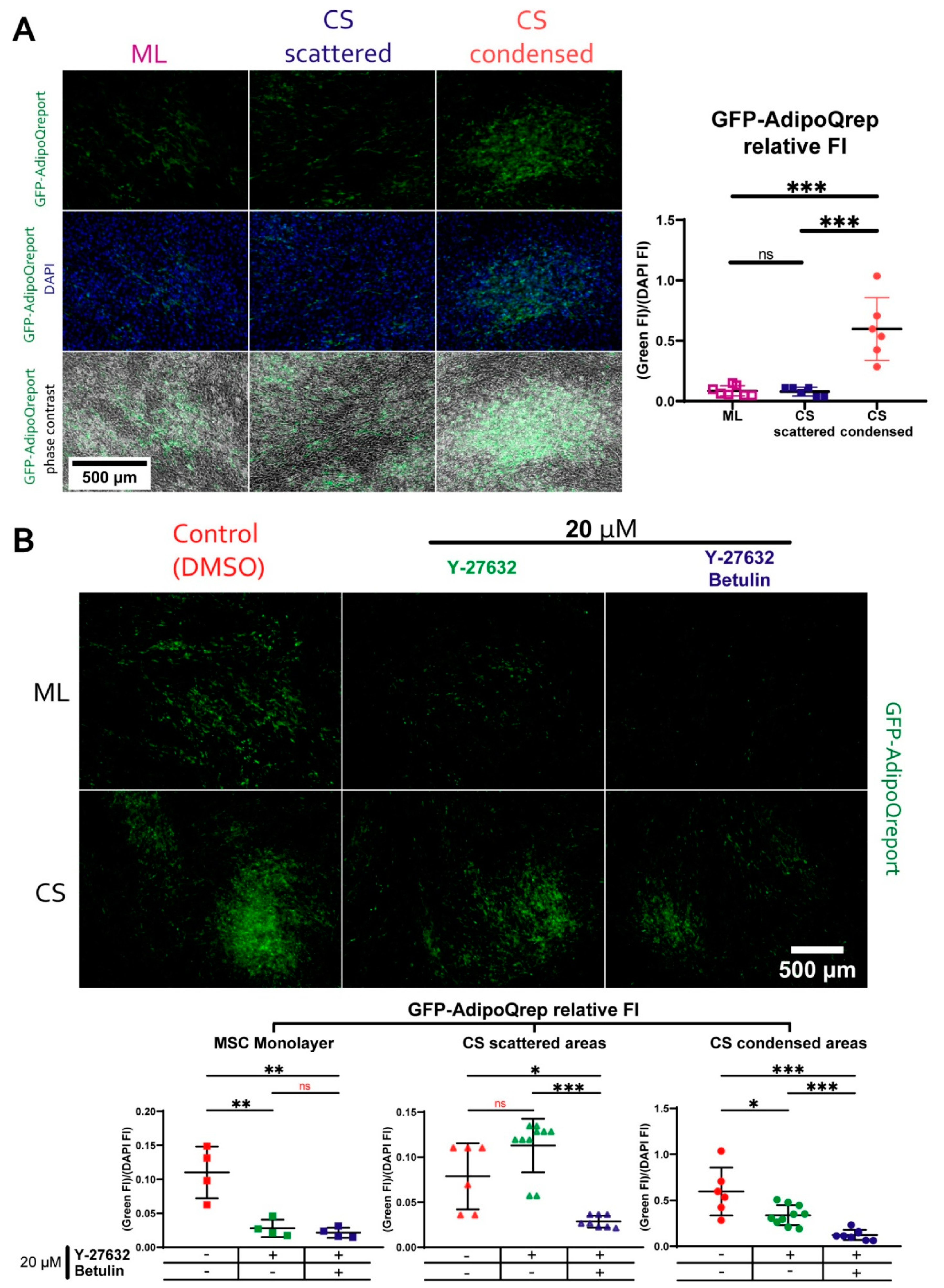 Biomedicines 09 01192 g011