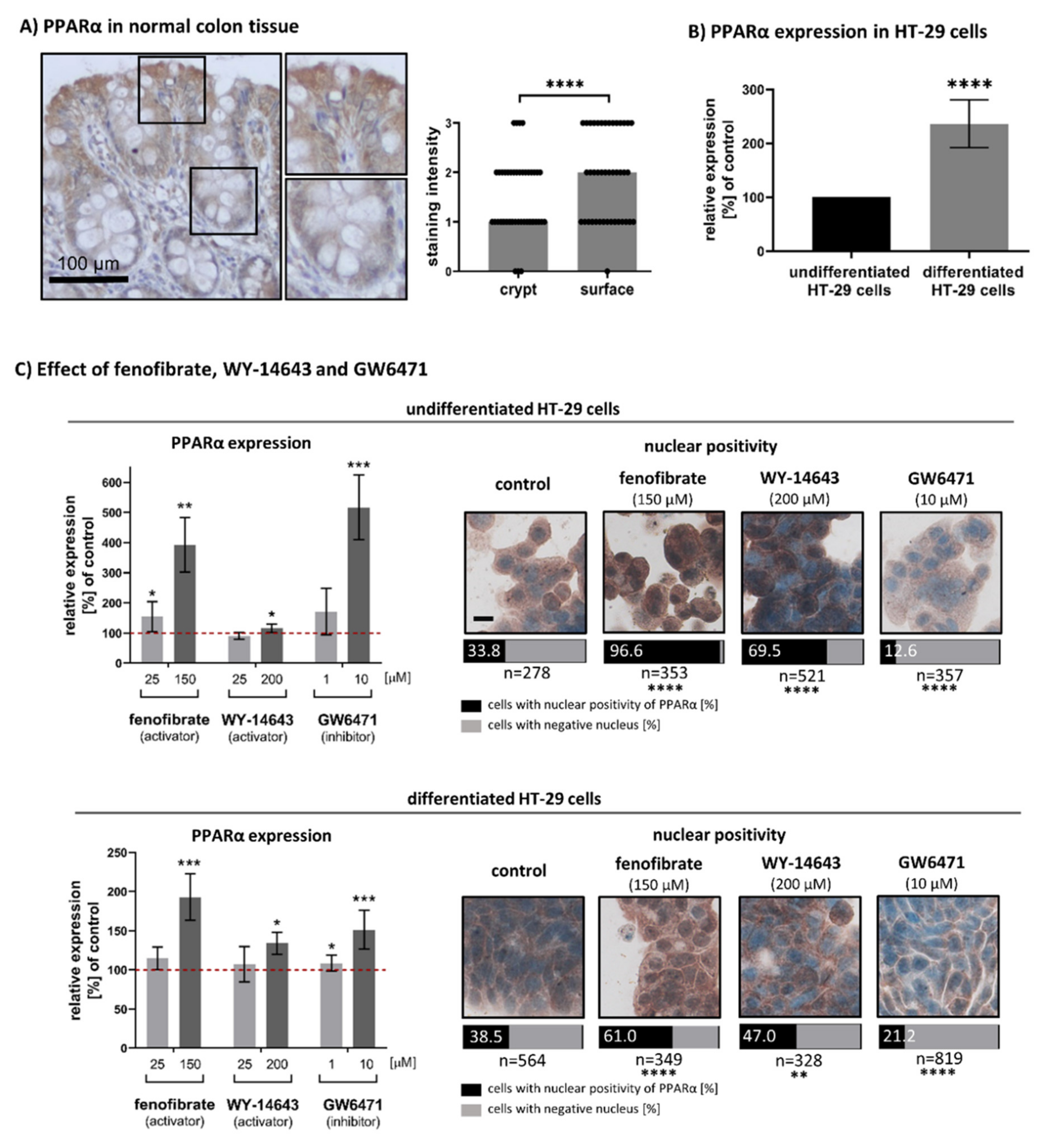 Biomedicines 09 01255 g001