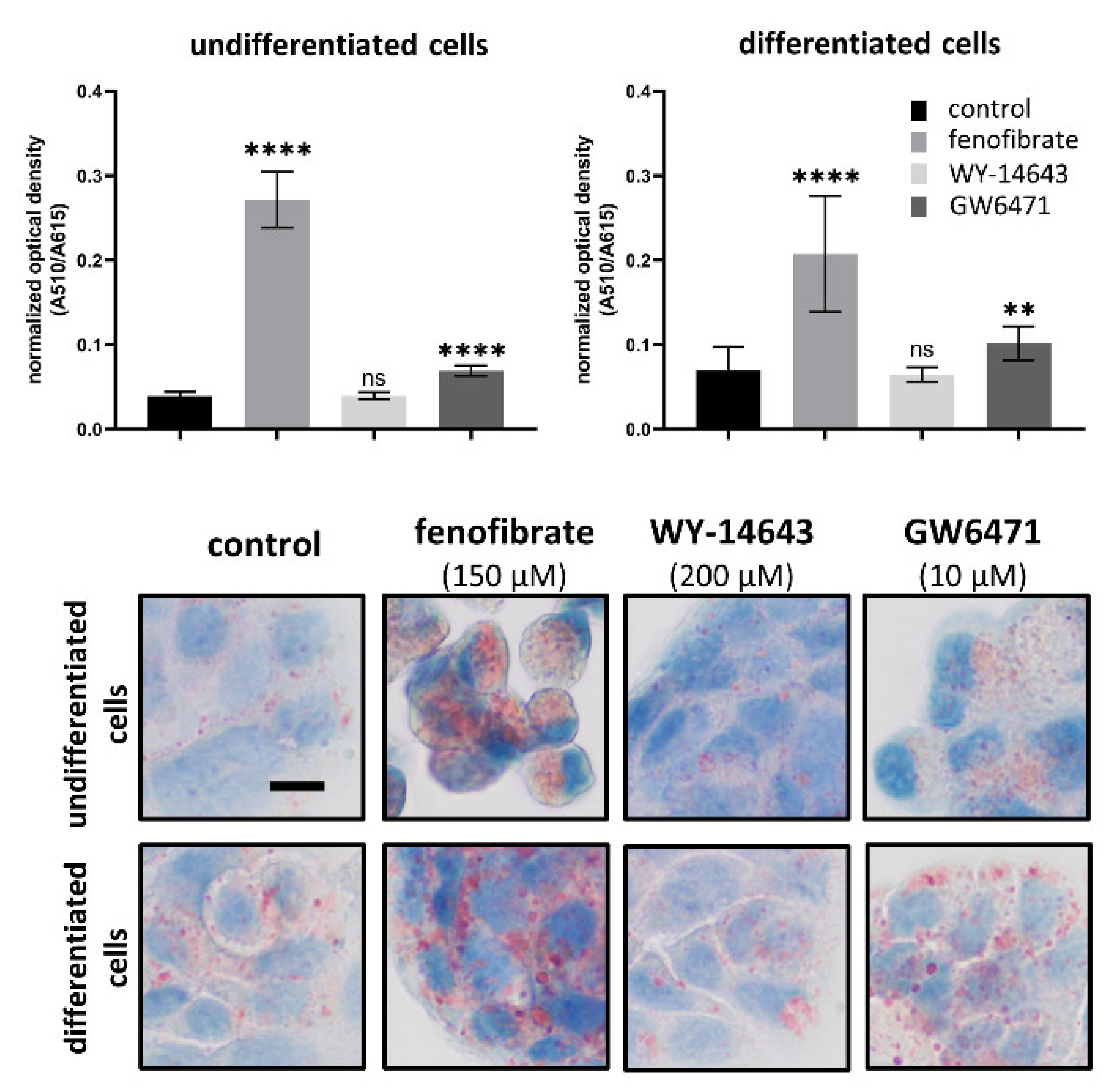 Biomedicines 09 01255 g003