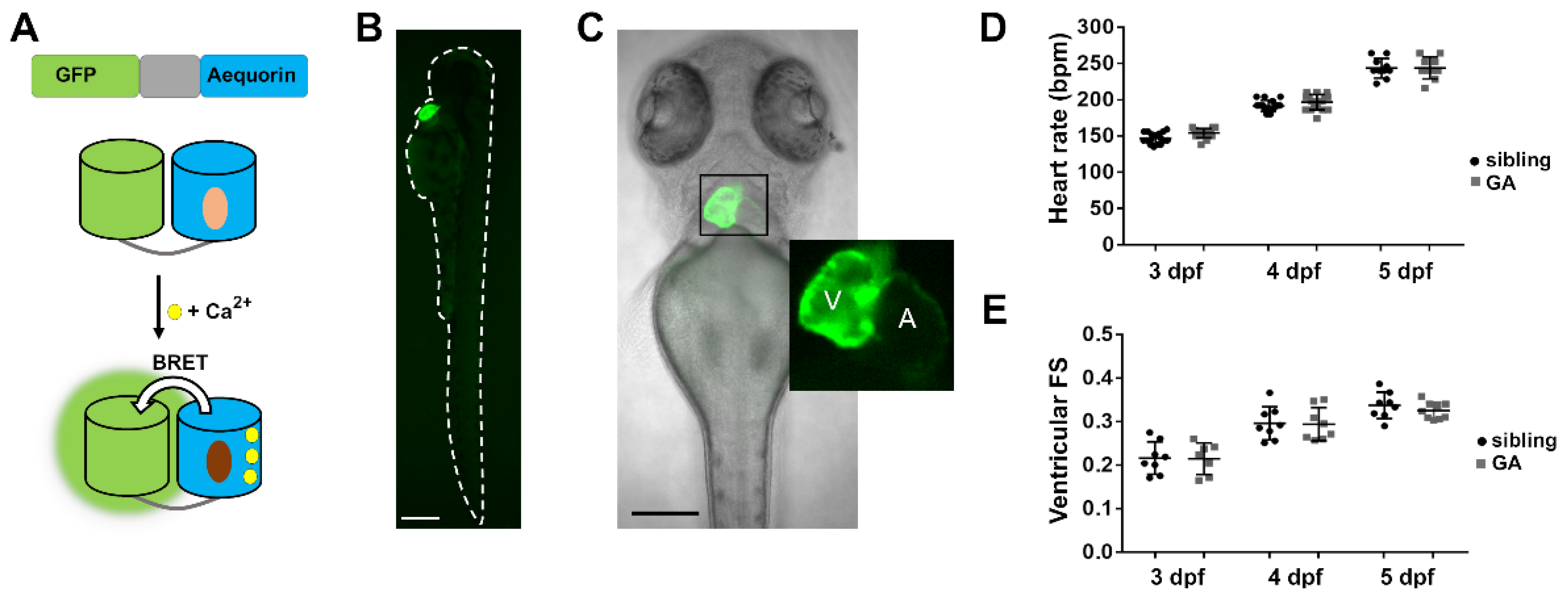 Biomedicines 09 01294 g001