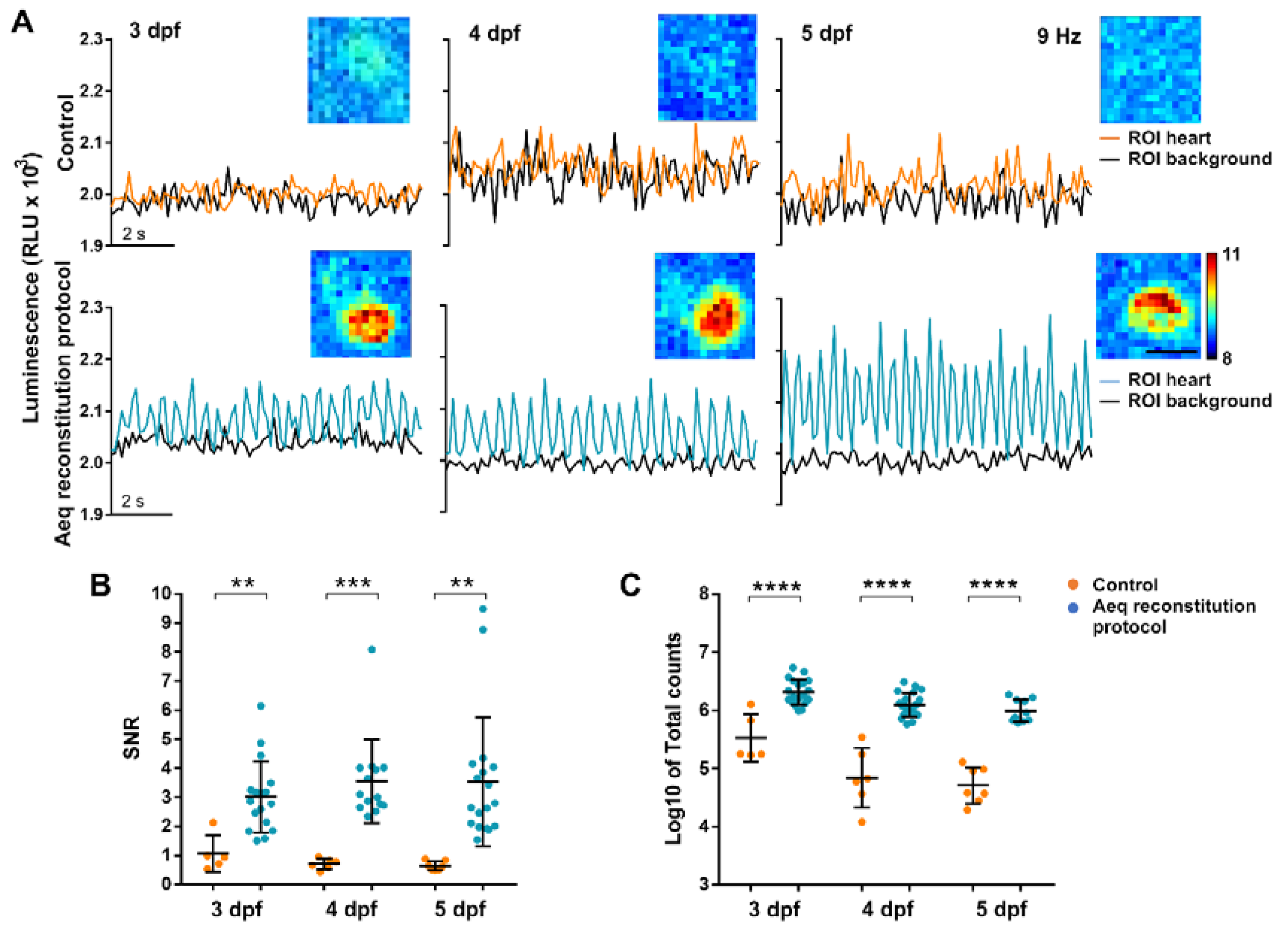 Biomedicines 09 01294 g003