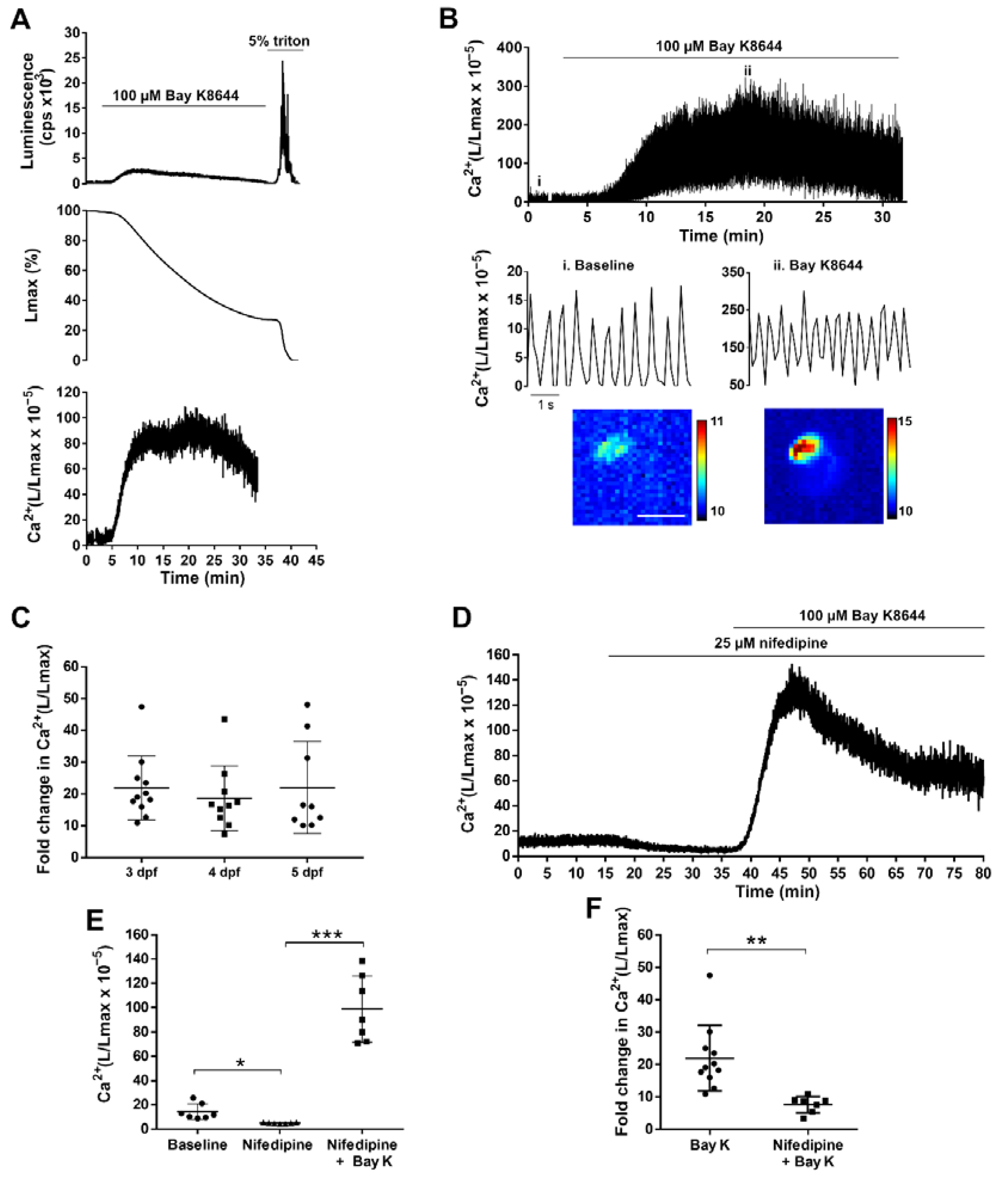 Biomedicines 09 01294 g005