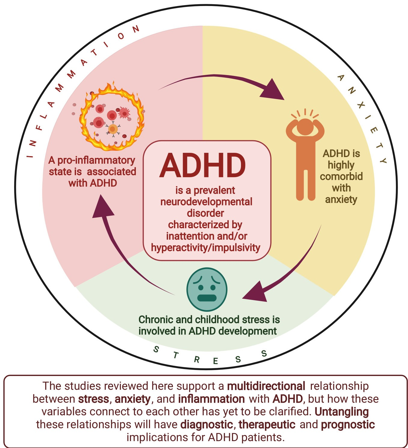 adhd and anxiety medication for kids