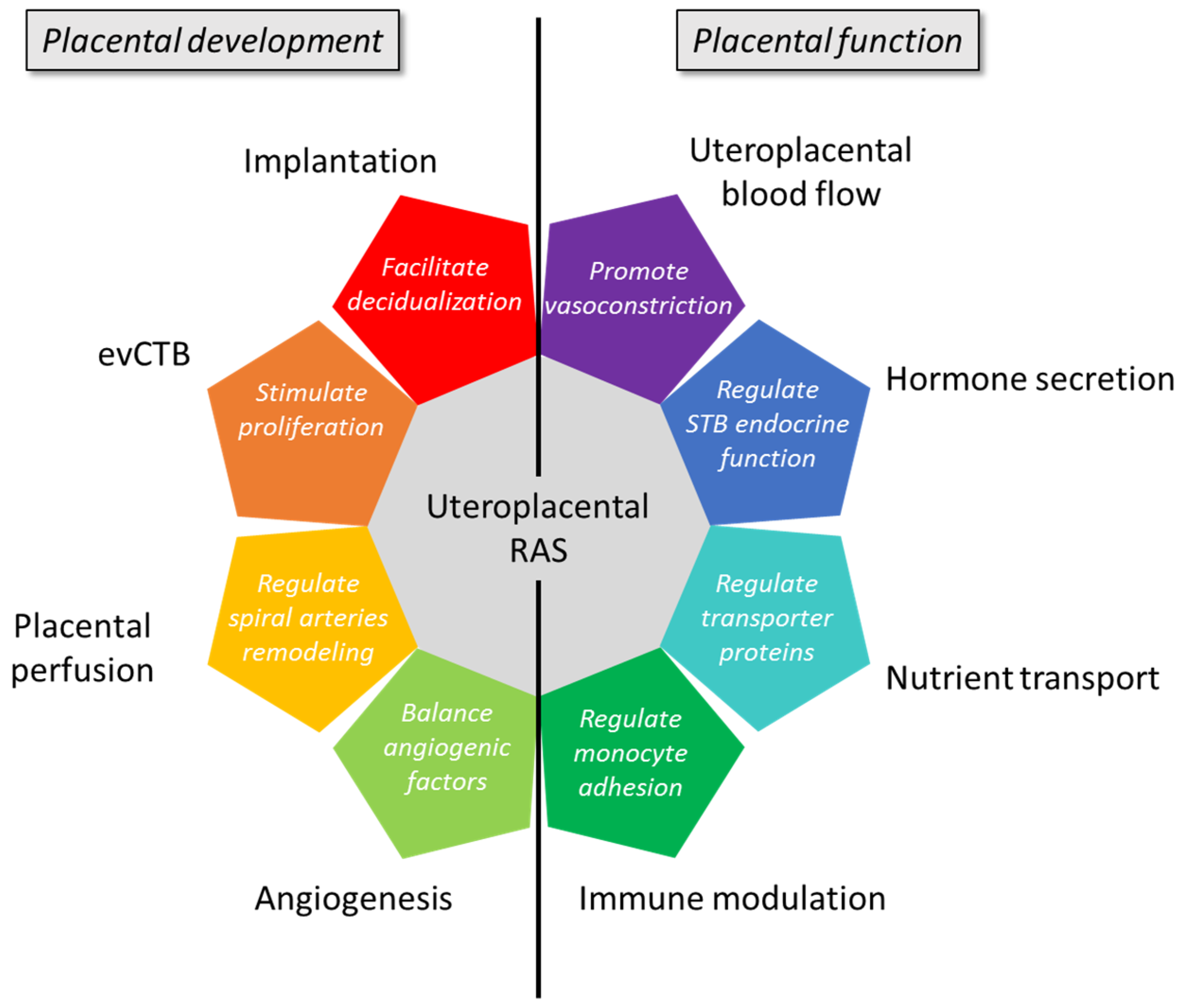 Biomedicines 09 01332 g002