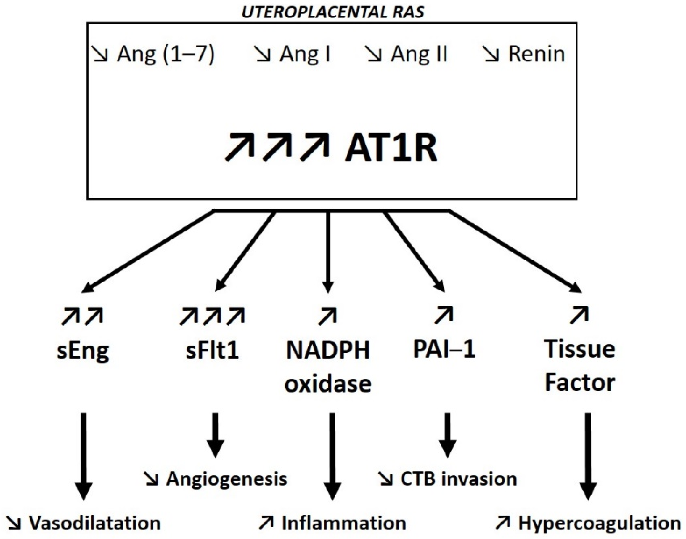 Biomedicines 09 01332 g004