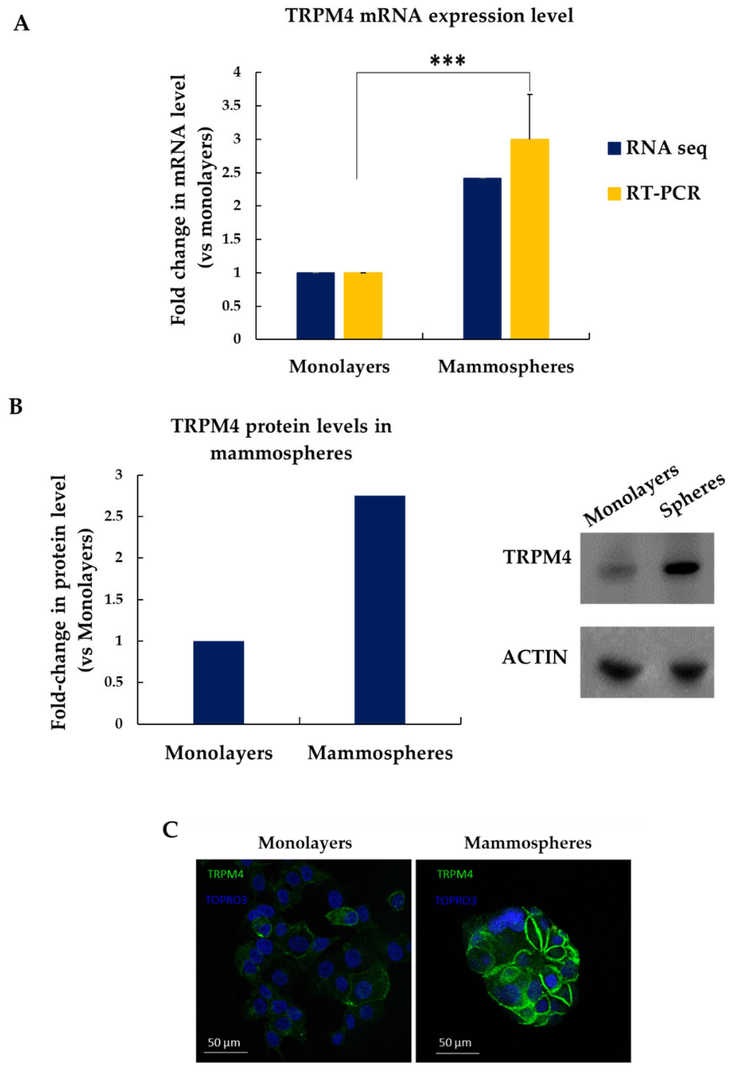 Biomedicines 09 01368 g004 Biomedicines 09 01368 g004