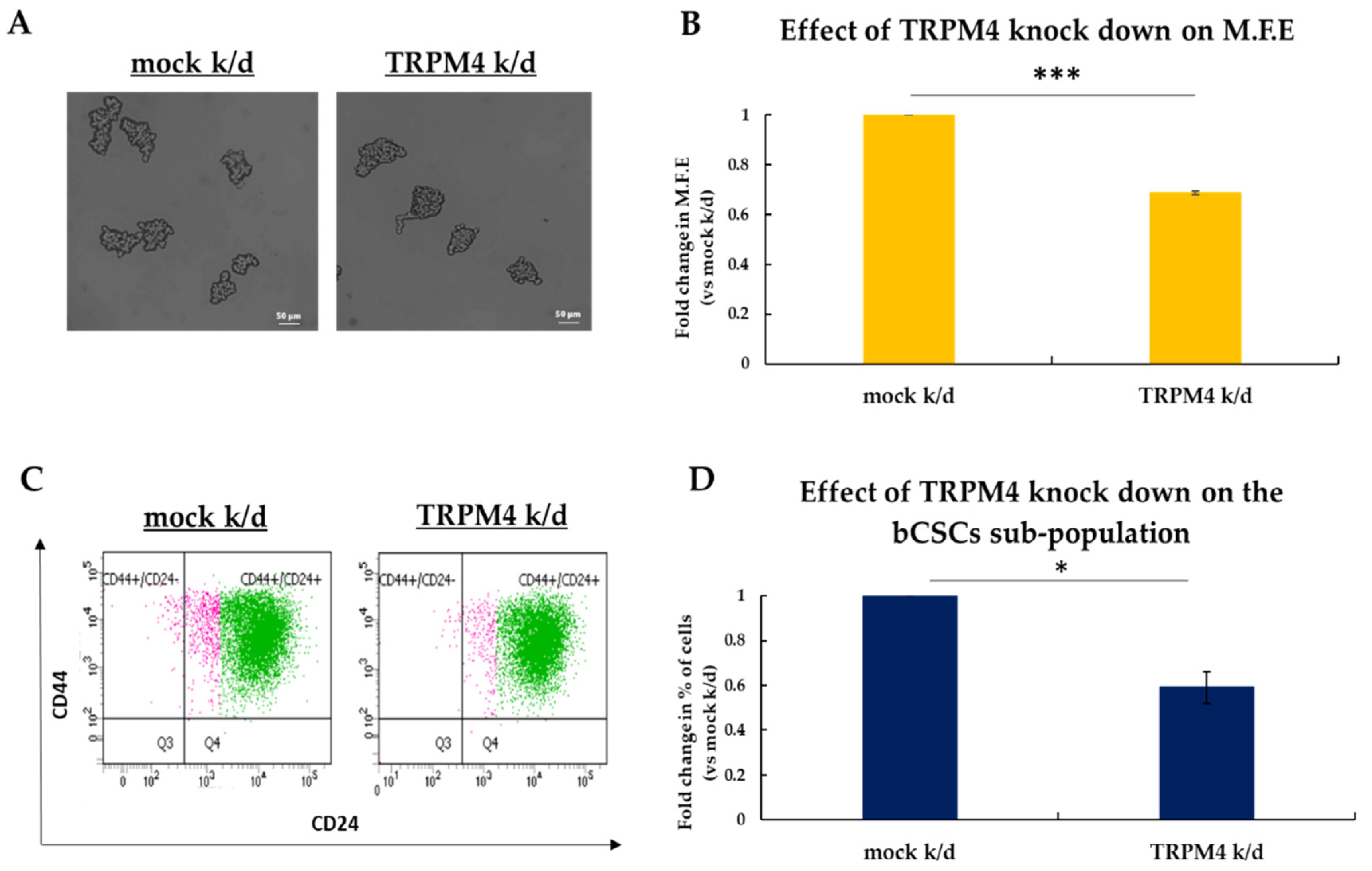 Biomedicines 09 01368 g005 Biomedicines 09 01368 g005