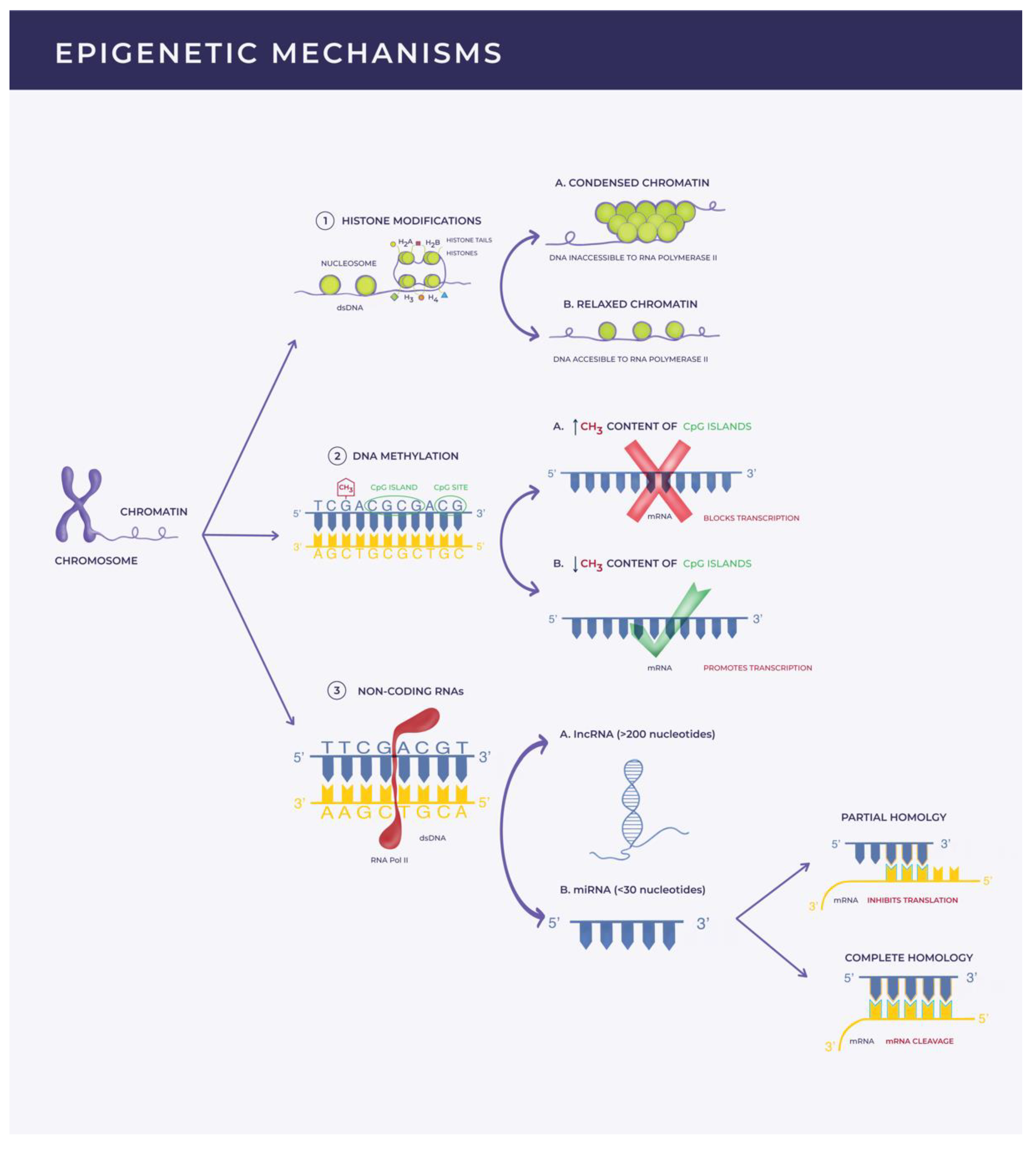 Biomedicines 09 01471 g001 Biomedicines 09 01471 g001