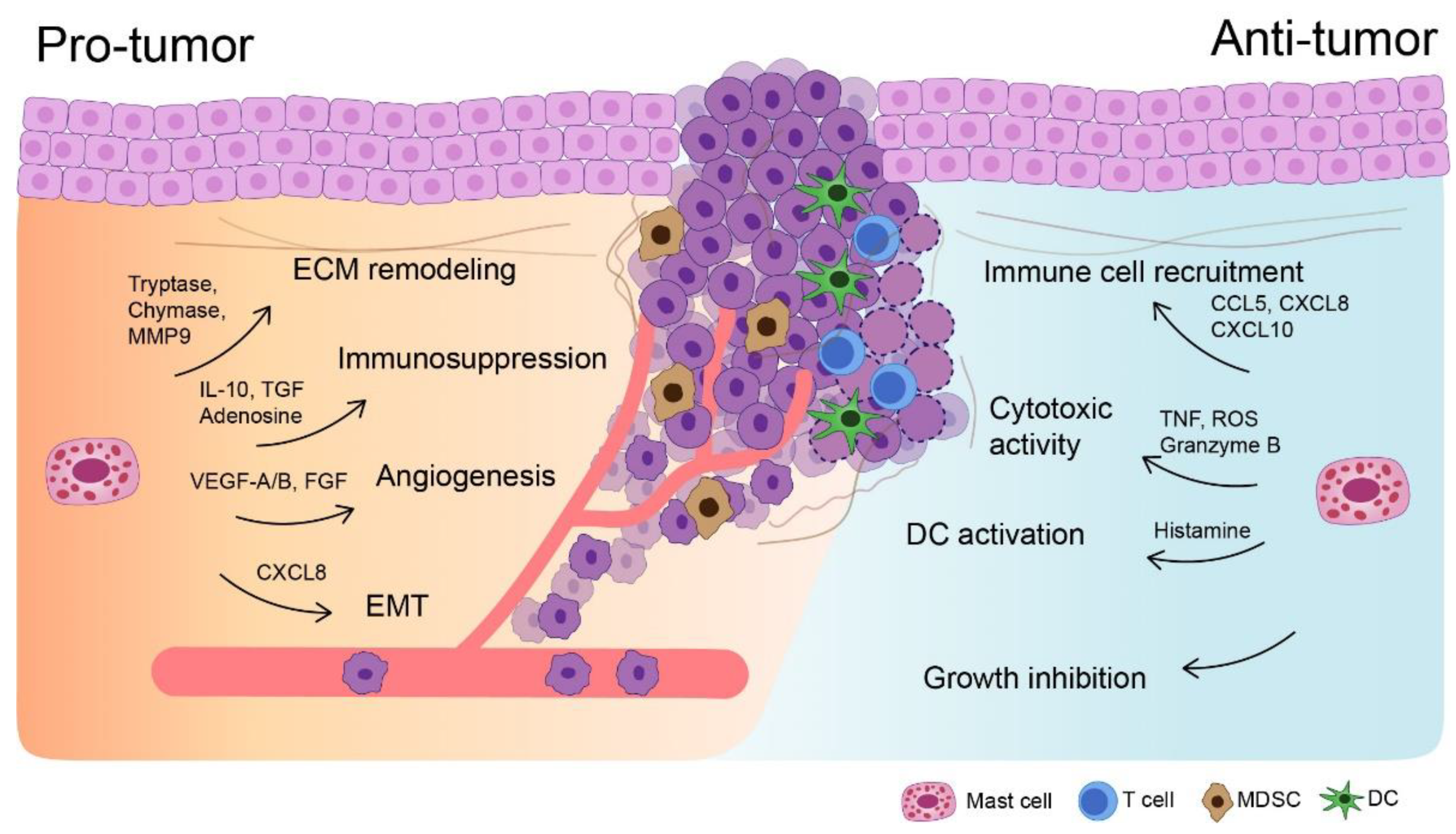 Biomedicines 09 01500 g001