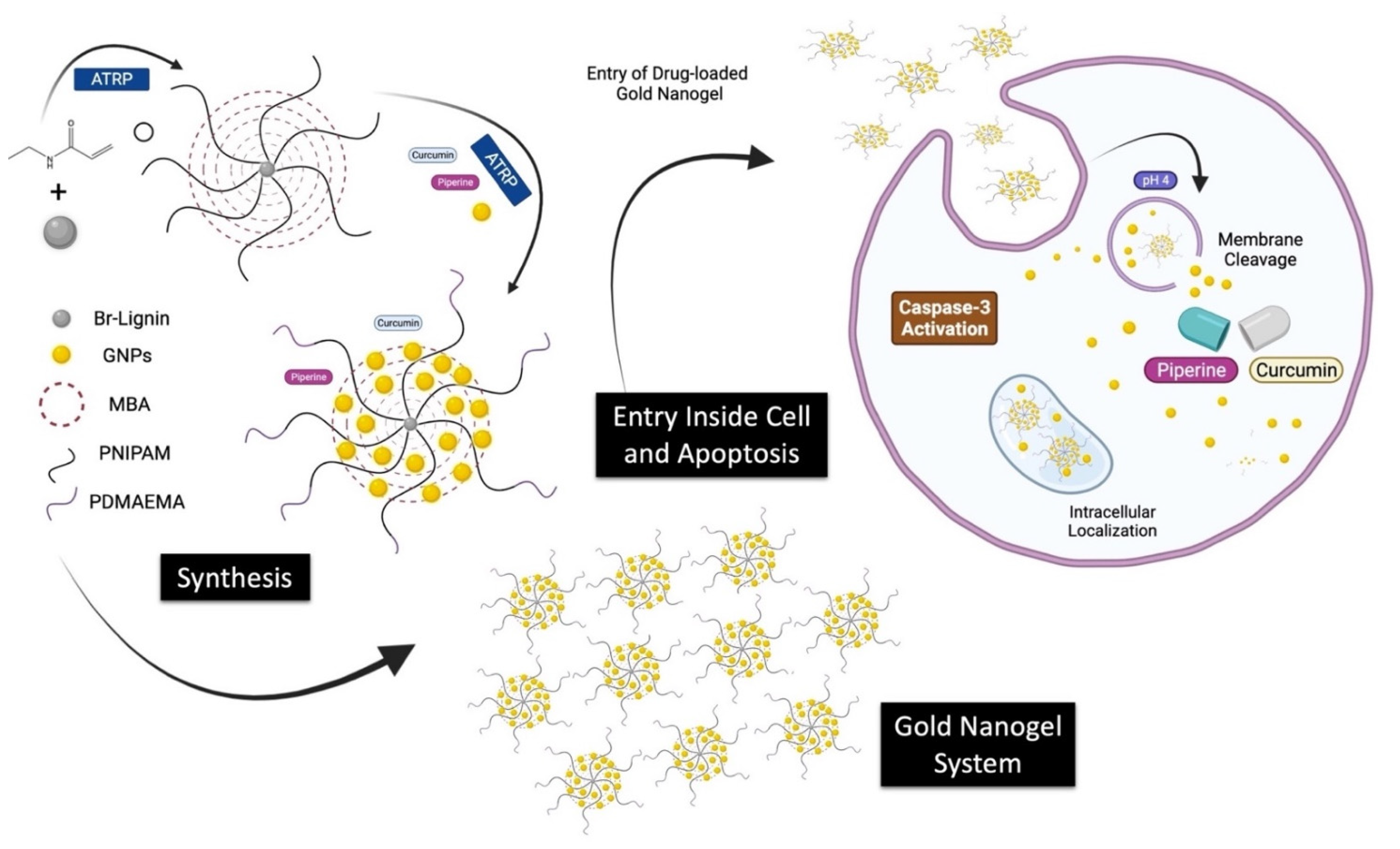 Biomedicines 09 01516 sch001
