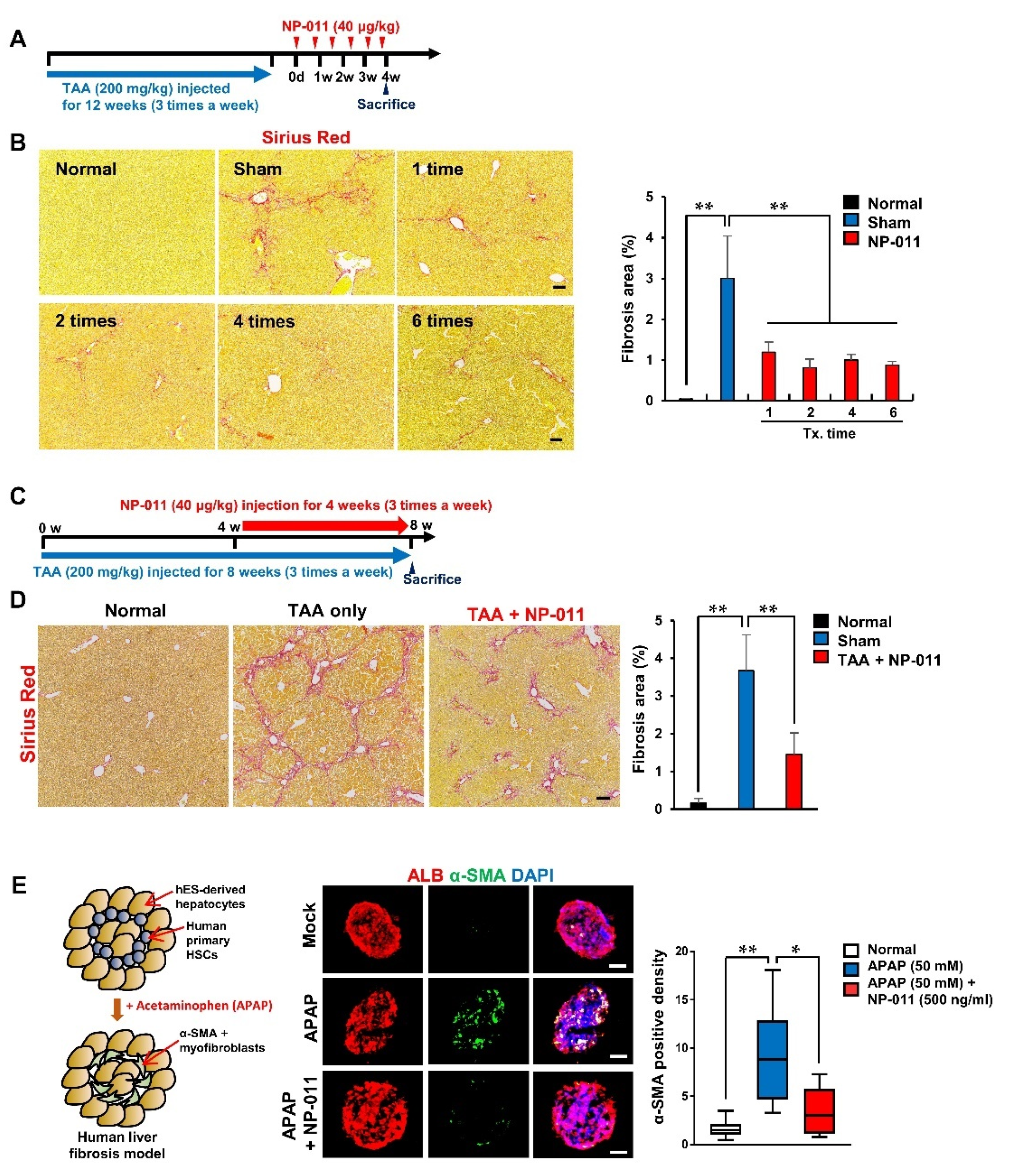 Biomedicines 09 01529 g003