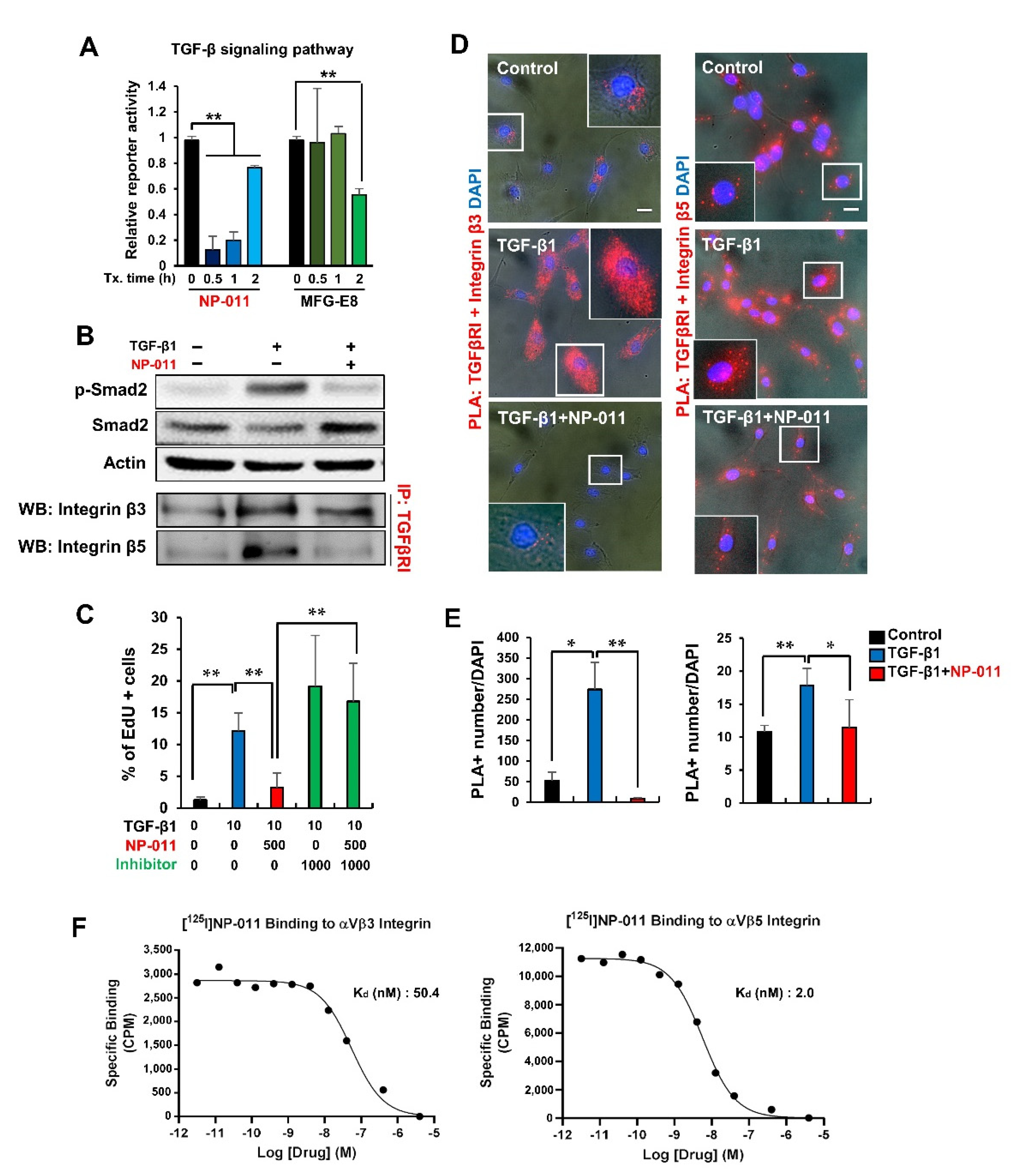 Biomedicines 09 01529 g004