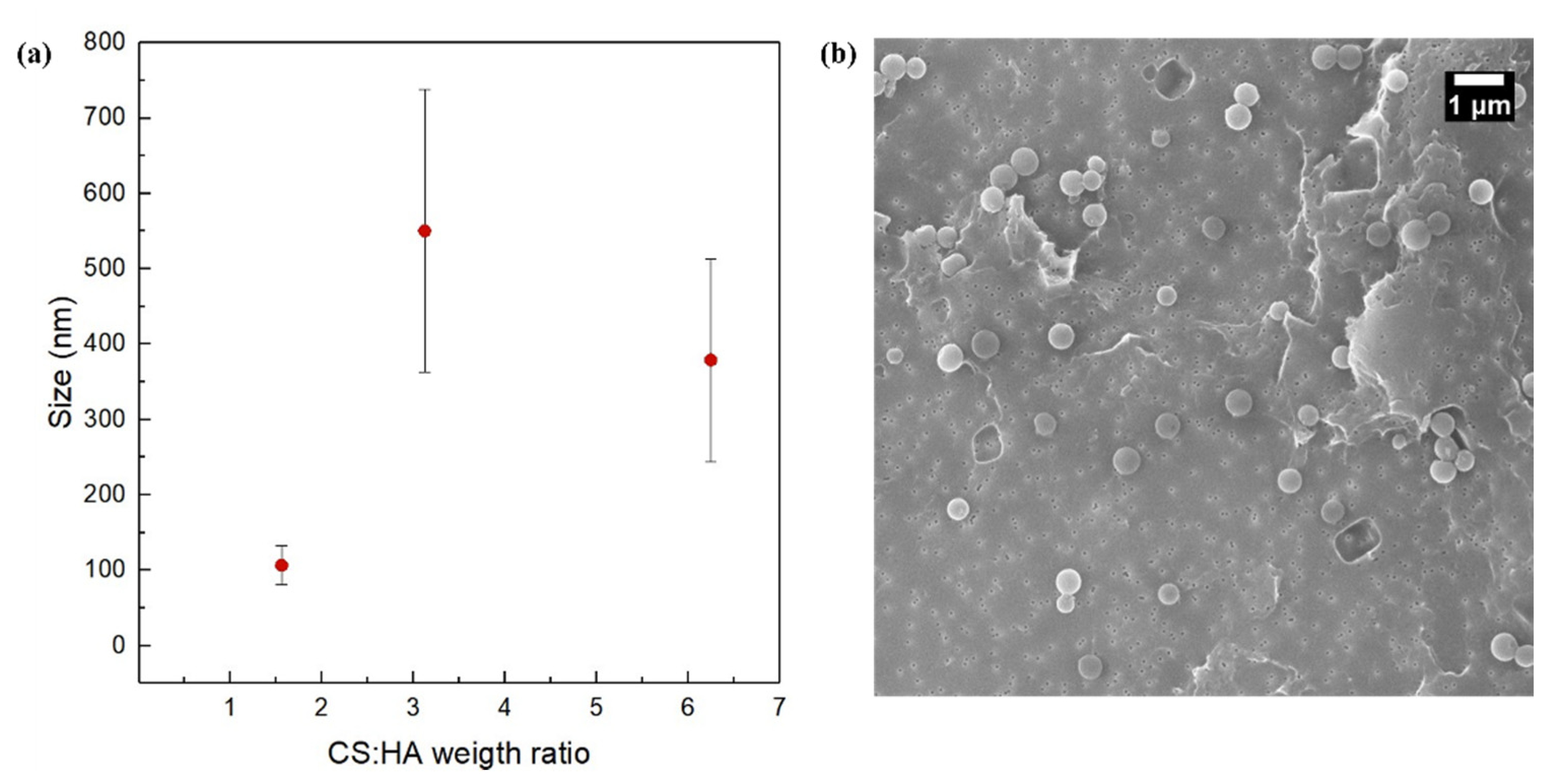 Biomedicines 09 01551 g003