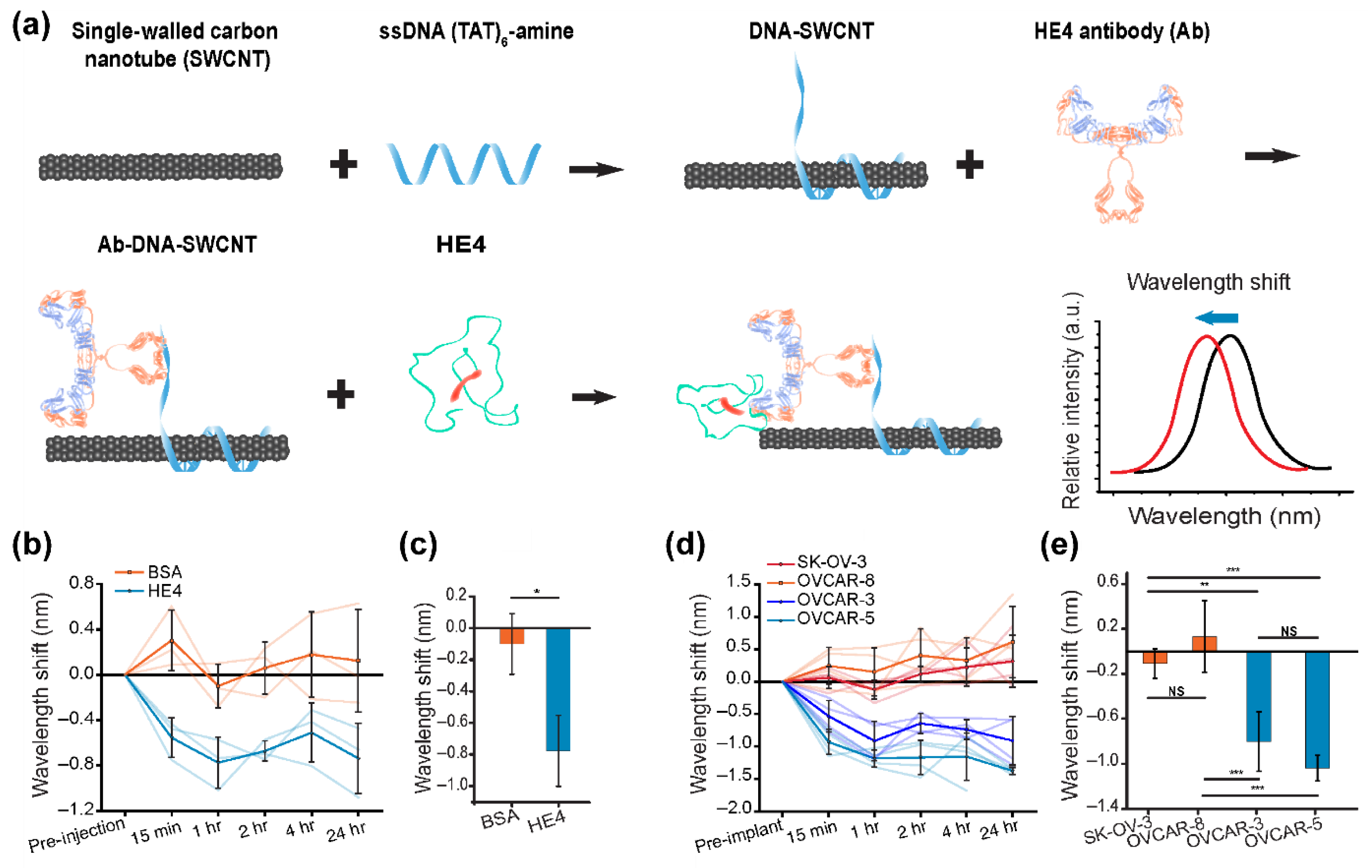 Biomedicines 09 01554 g004