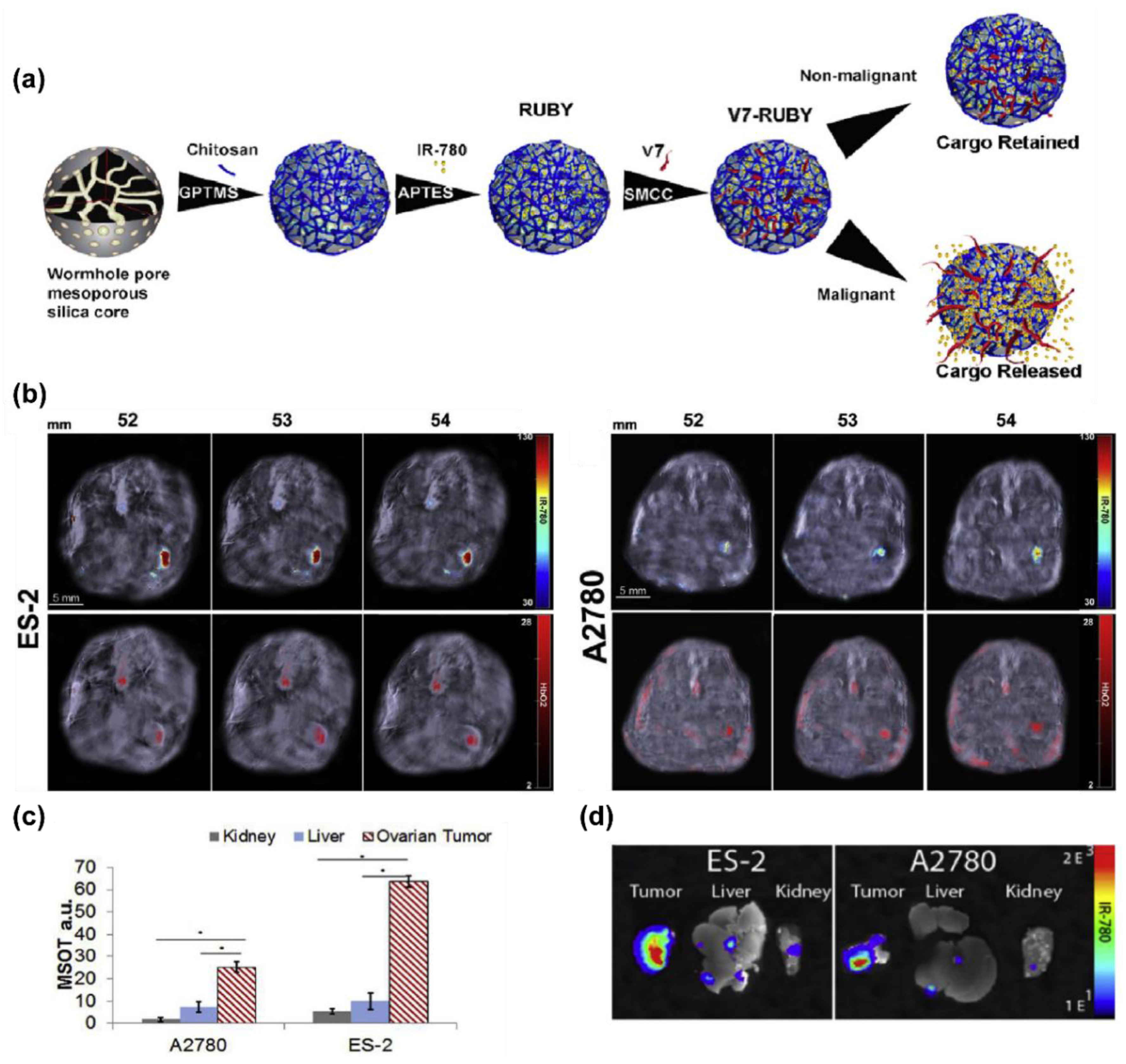 Biomedicines 09 01554 g006