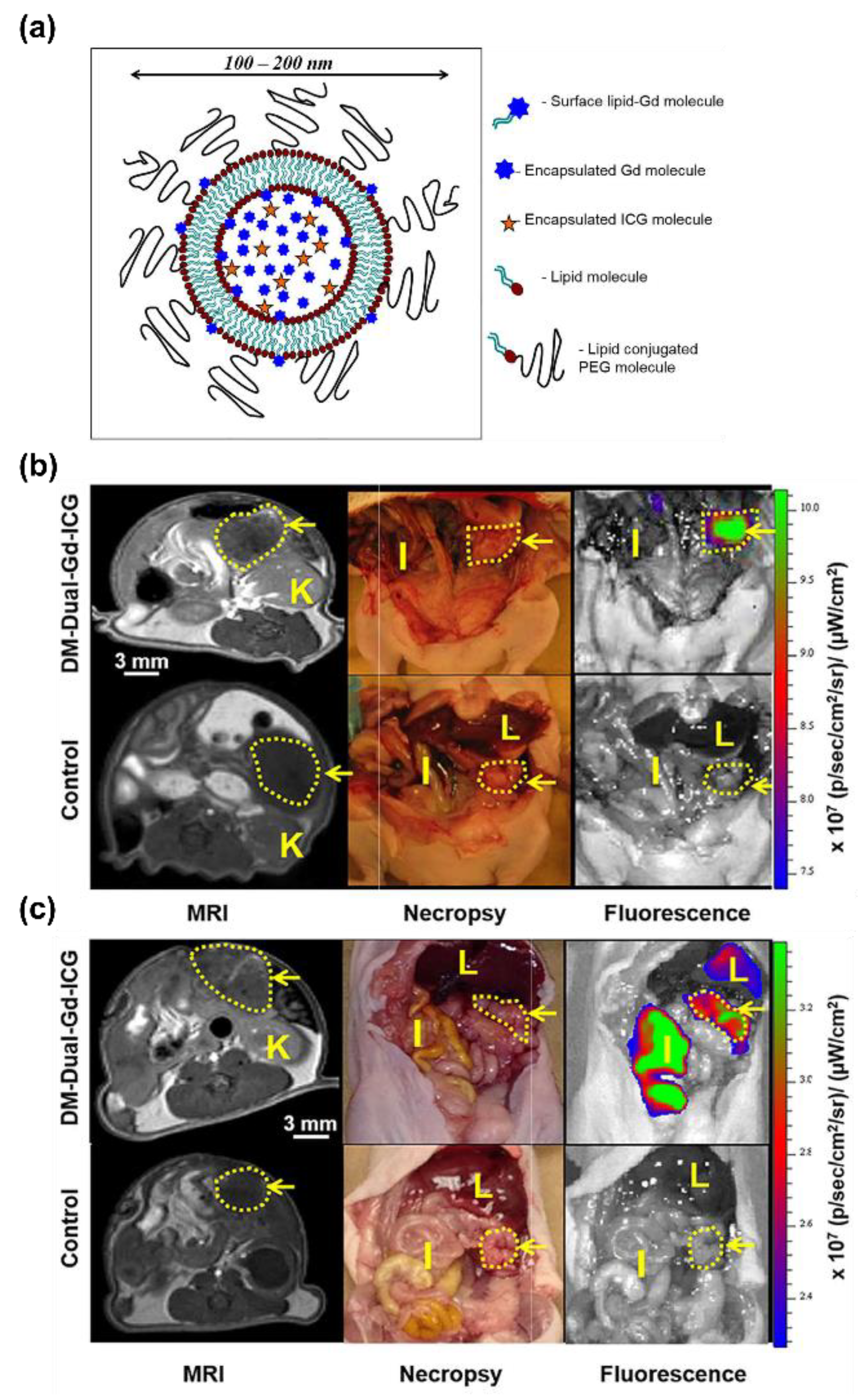 Biomedicines 09 01554 g007