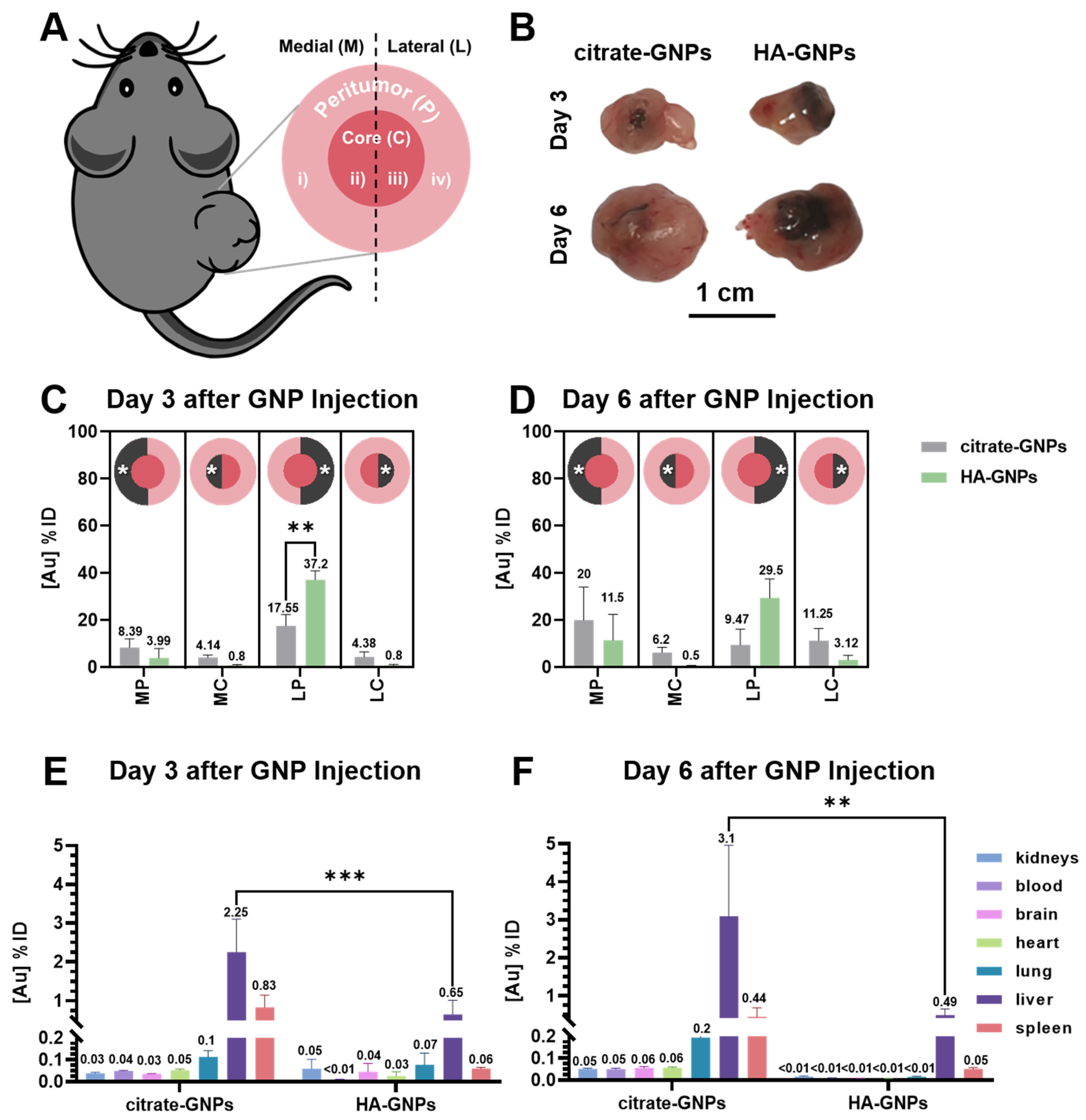 Biomedicines 09 01561 g003