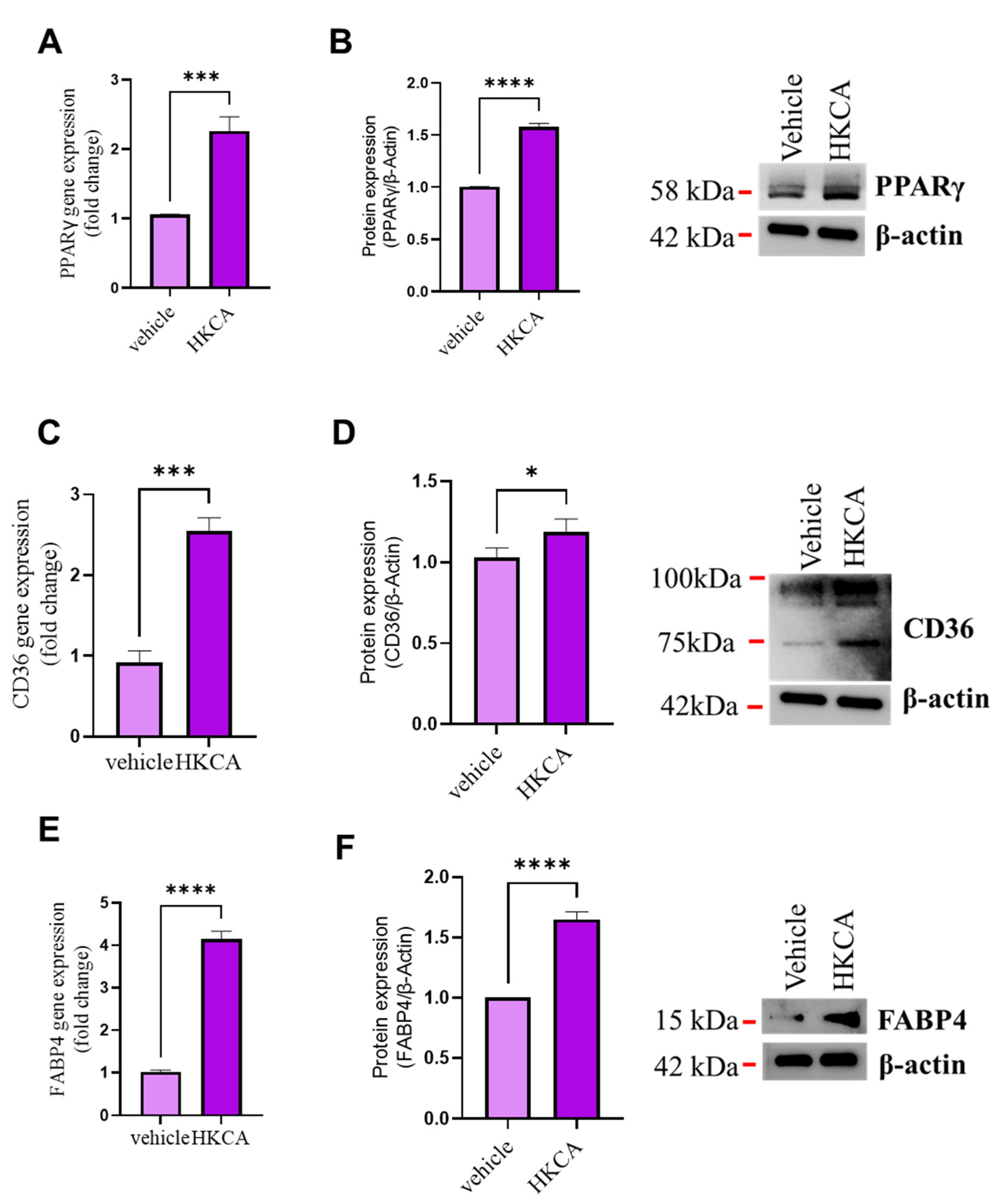 Biomedicines 09 01567 g002