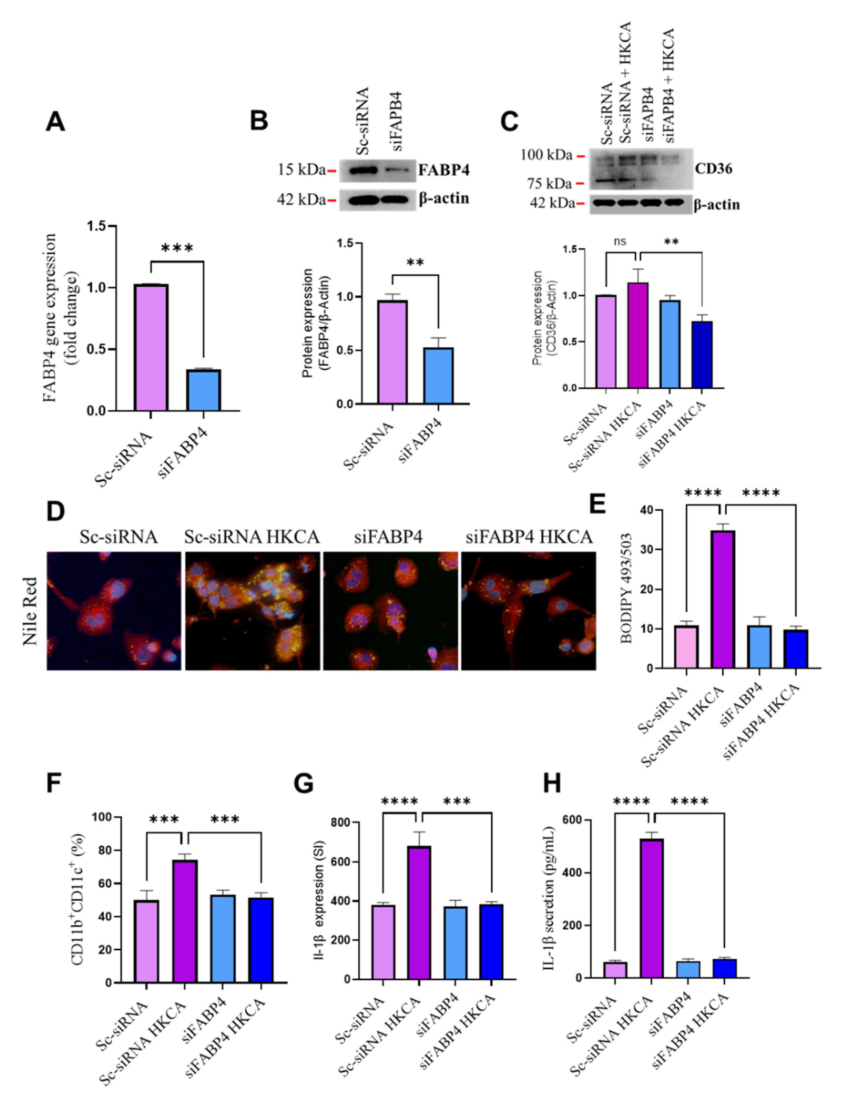 Biomedicines 09 01567 g004