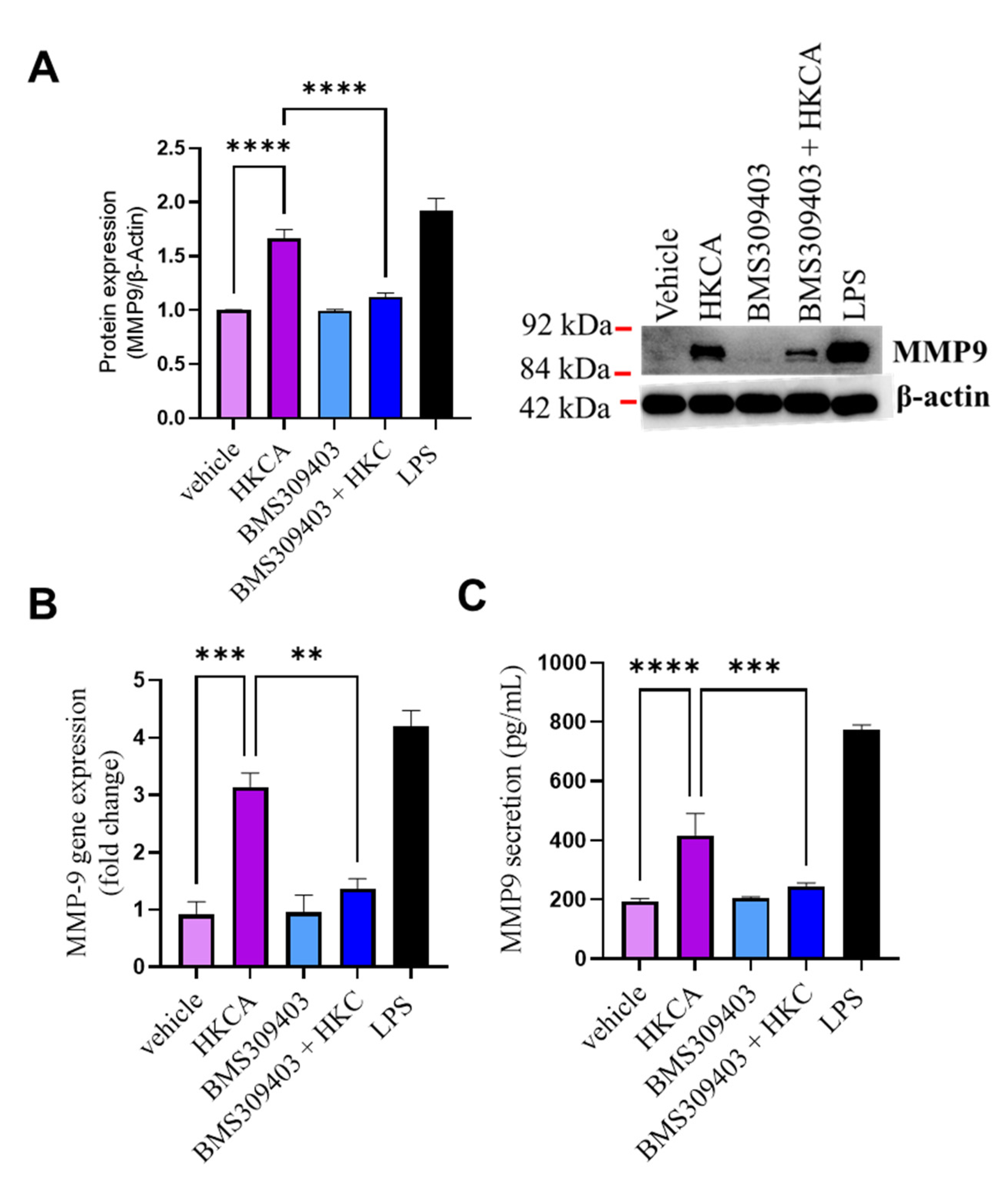Biomedicines 09 01567 g005