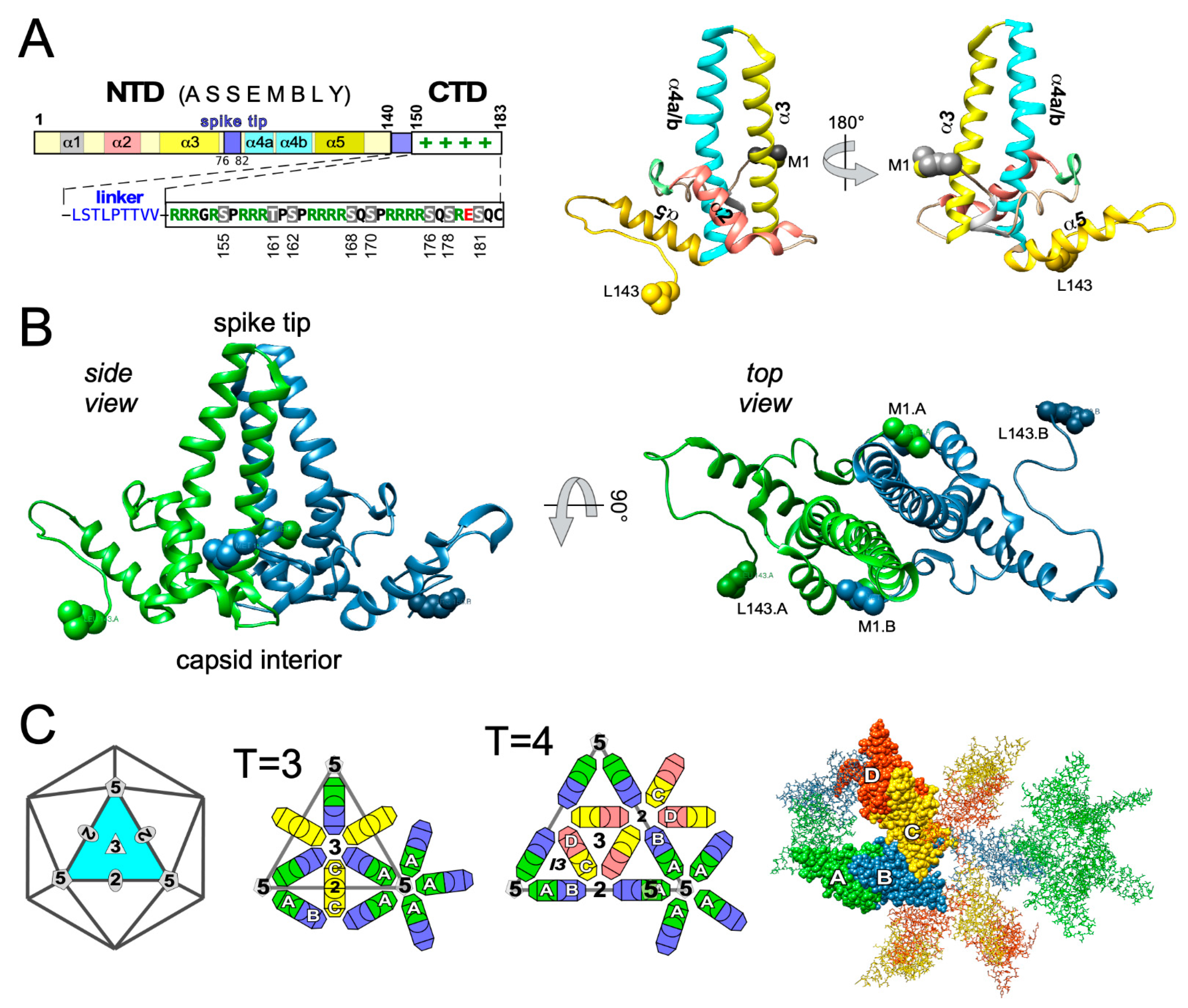 Biomedicines 09 01577 g004