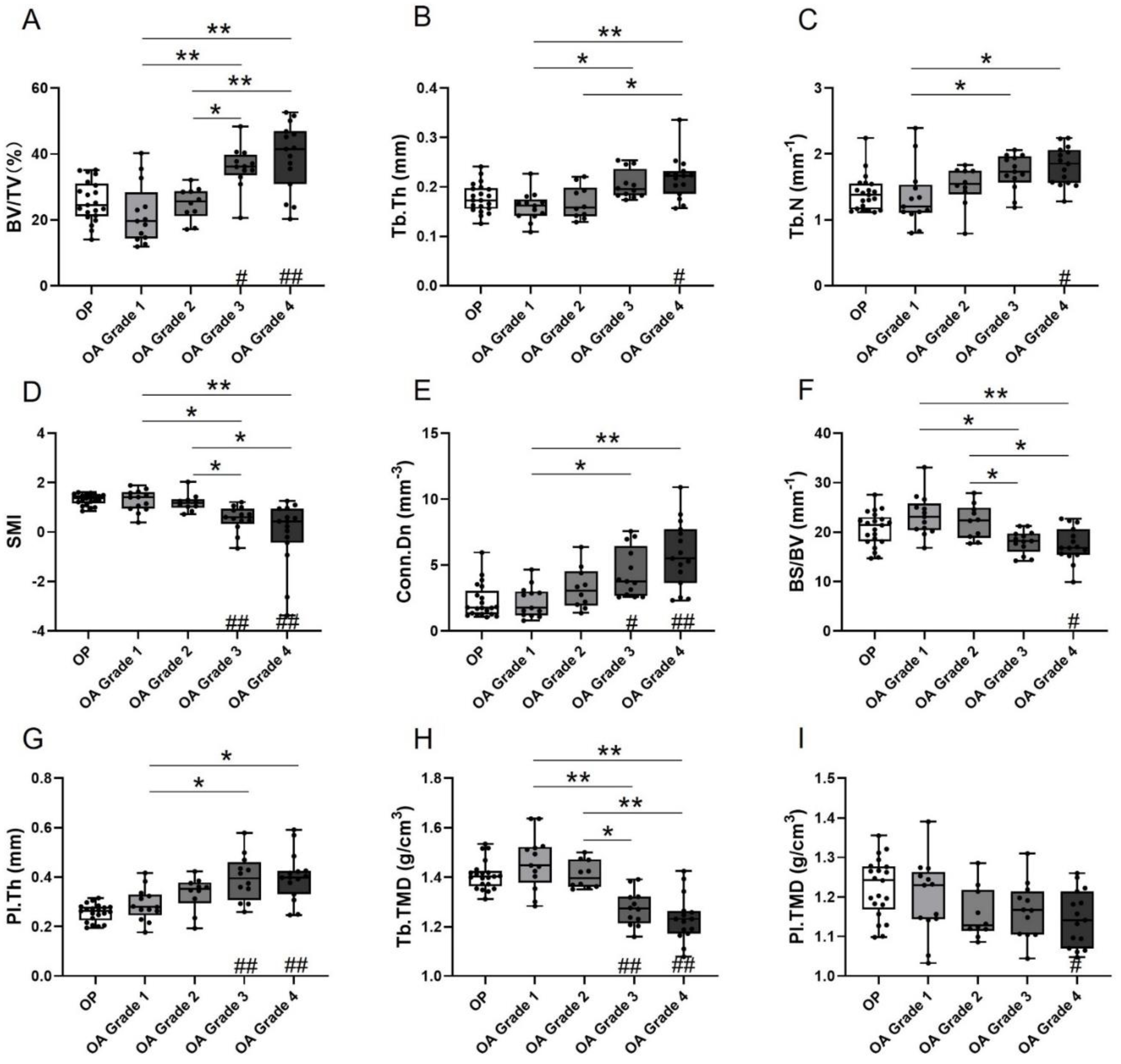 Biomedicines 09 01593 g002