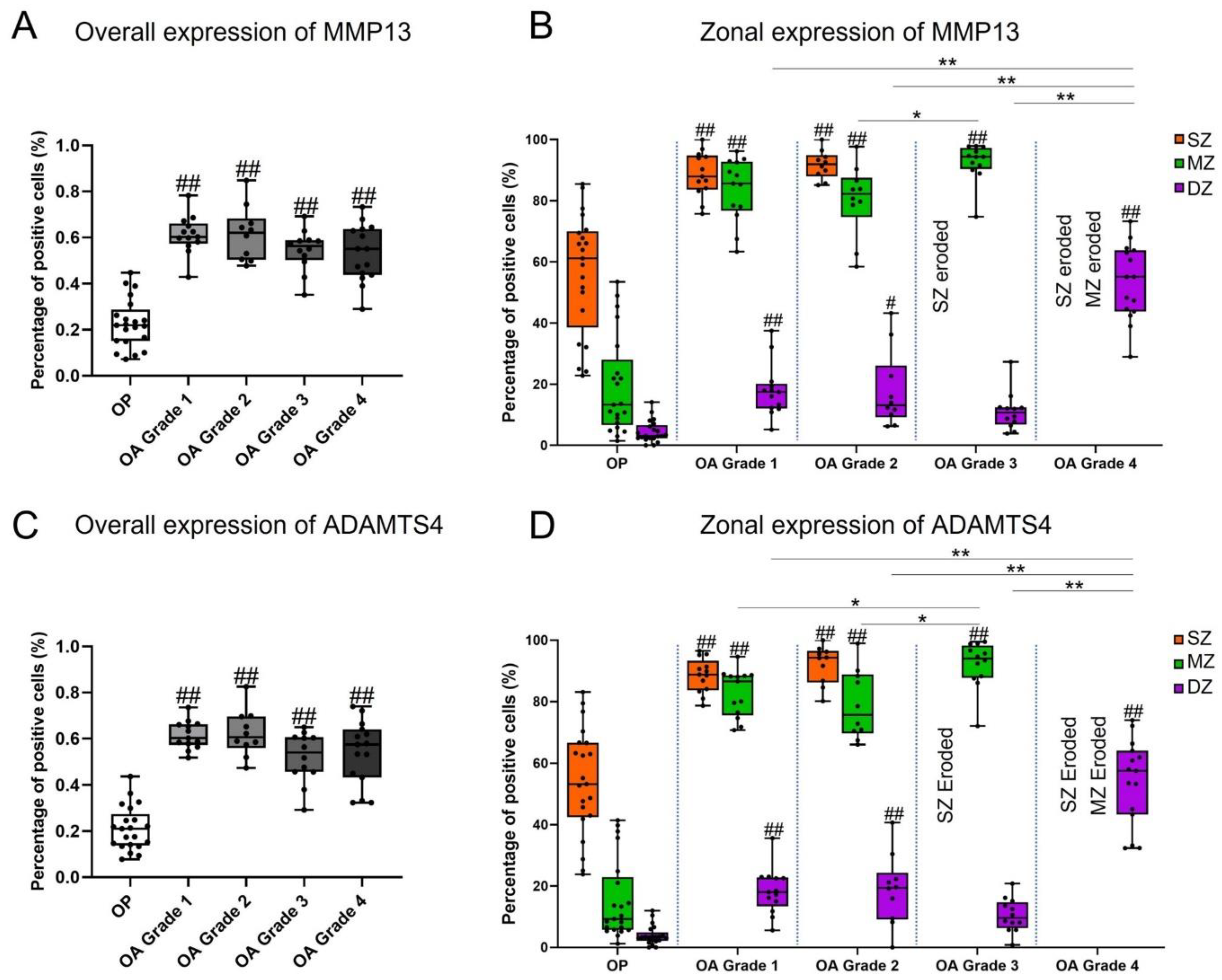 Biomedicines 09 01593 g003
