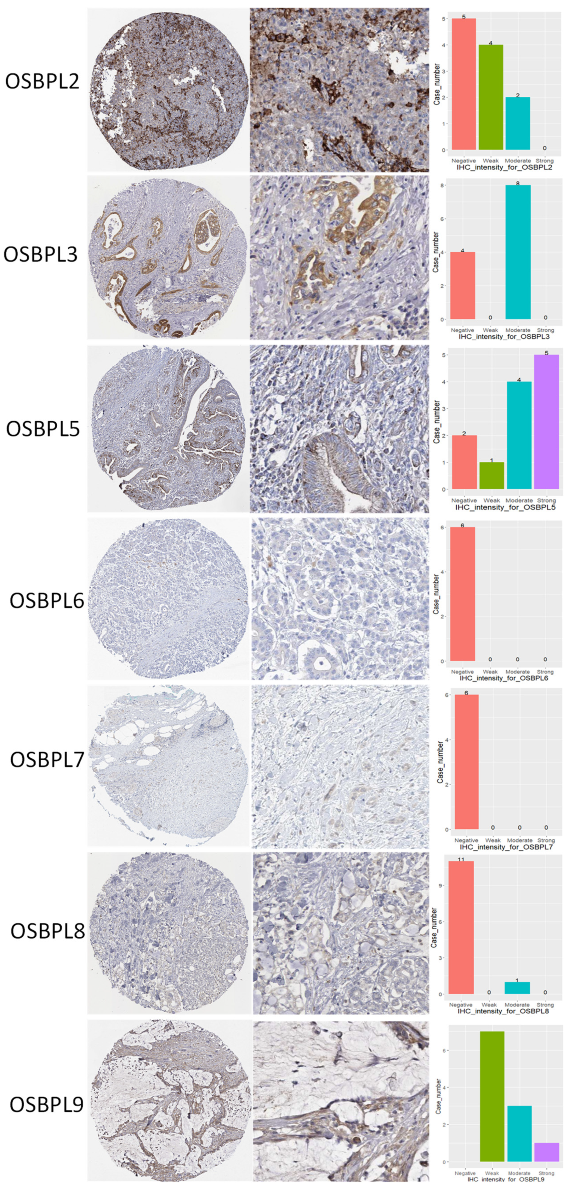 Biomedicines 09 01601 g005