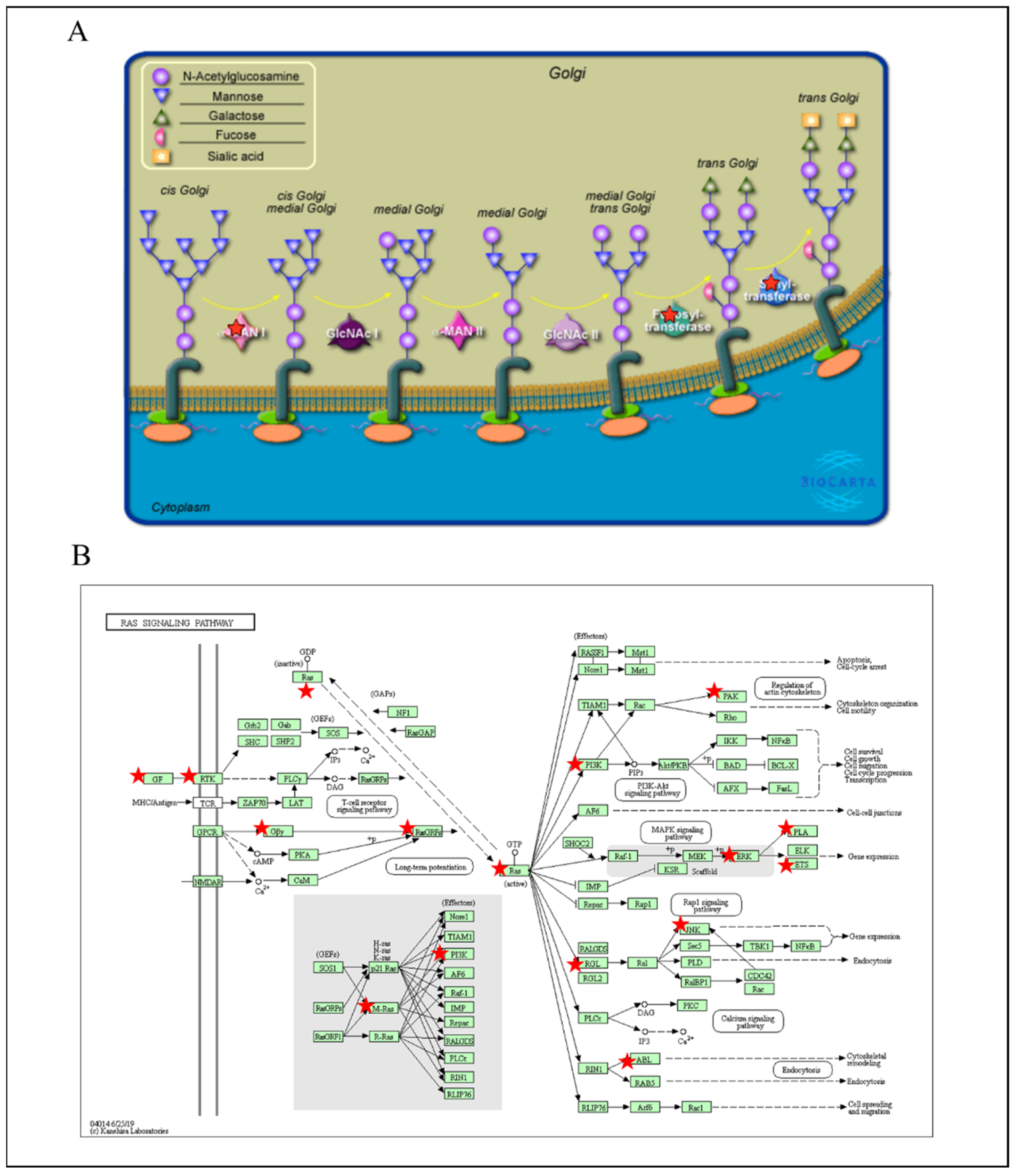 Biomedicines 09 01601 g008