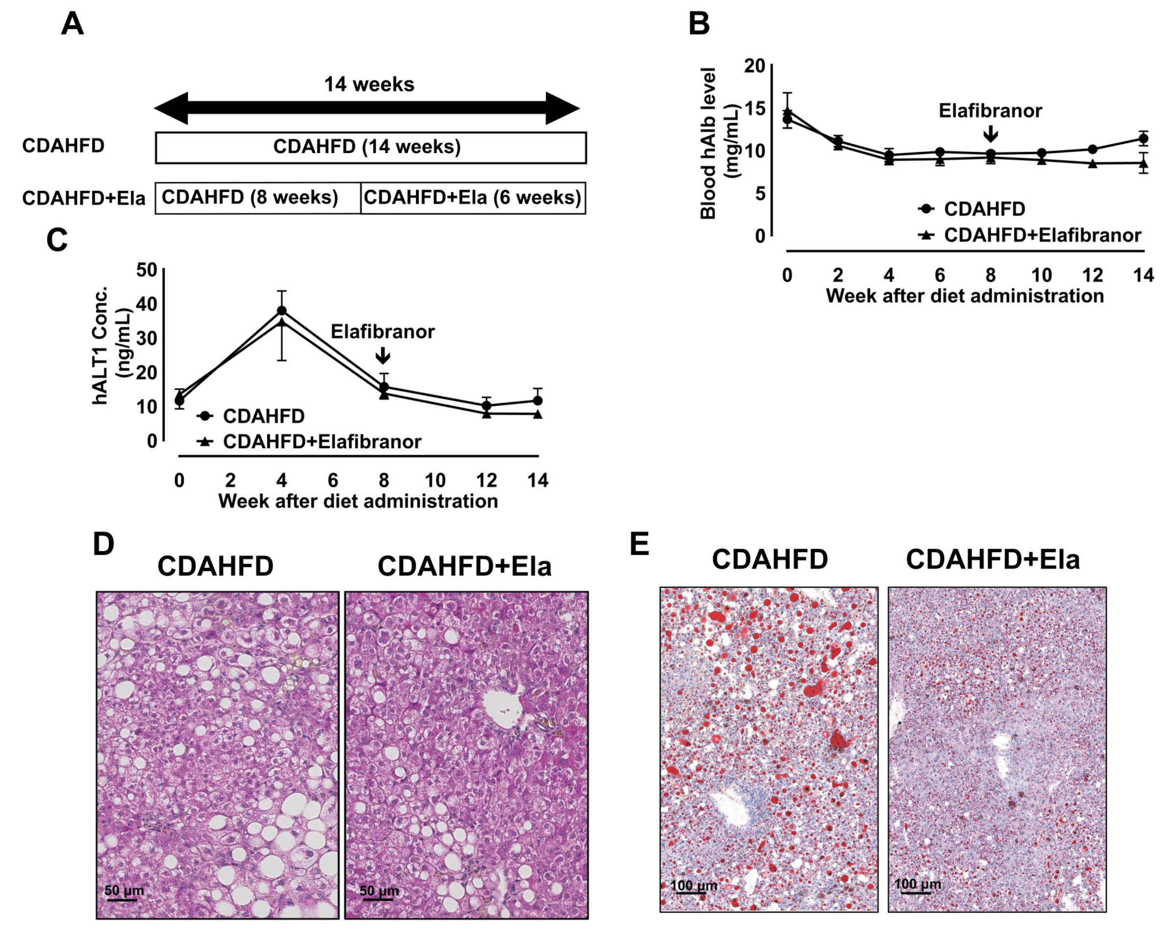 Biomedicines 09 01647 g006a