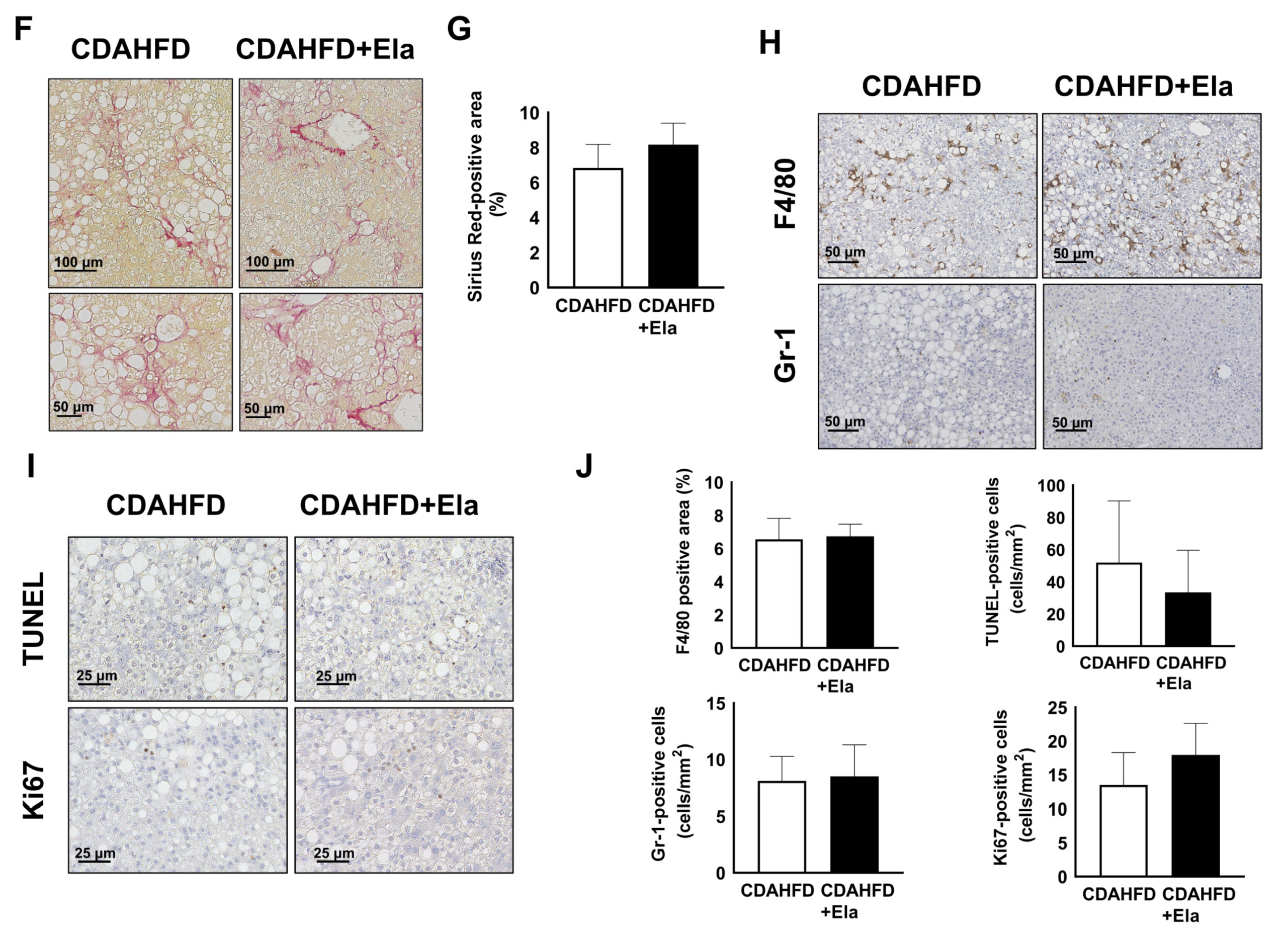 Biomedicines 09 01647 g006b