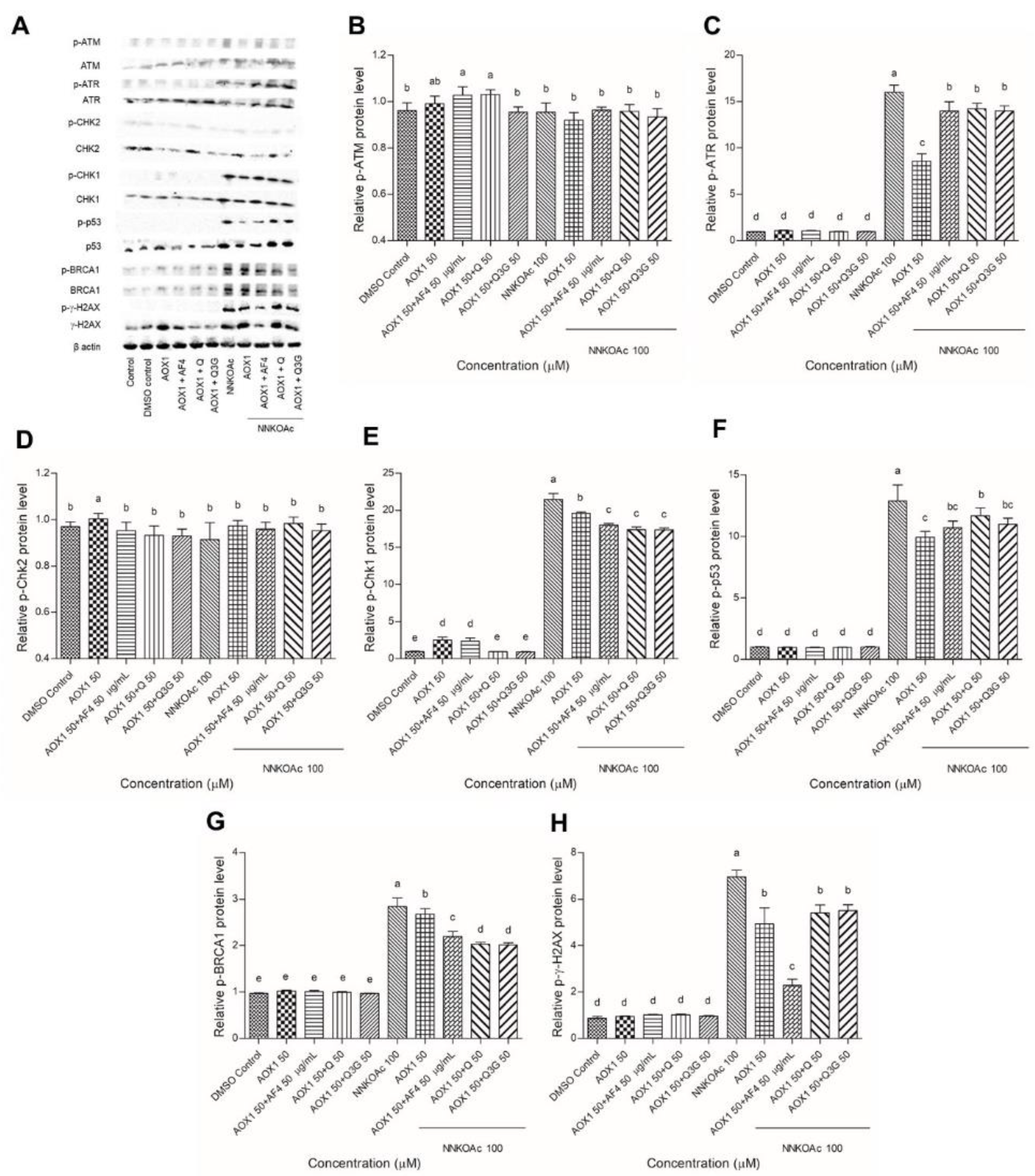 Biomedicines 09 01665 g005 Biomedicines 09 01665 g005