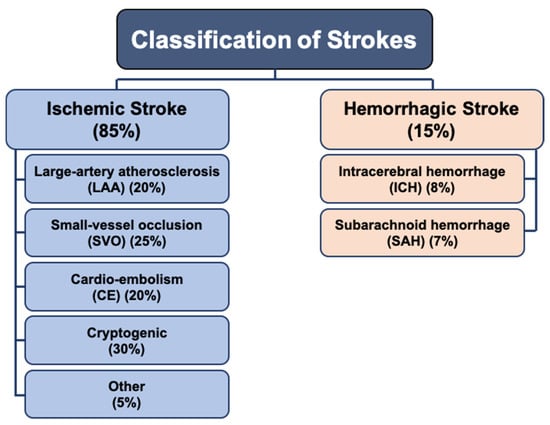 Biomedicines | Free Full-Text | The Role of the ACE2/MasR Axis in Ischemic  Stroke: New Insights for Therapy | HTML
