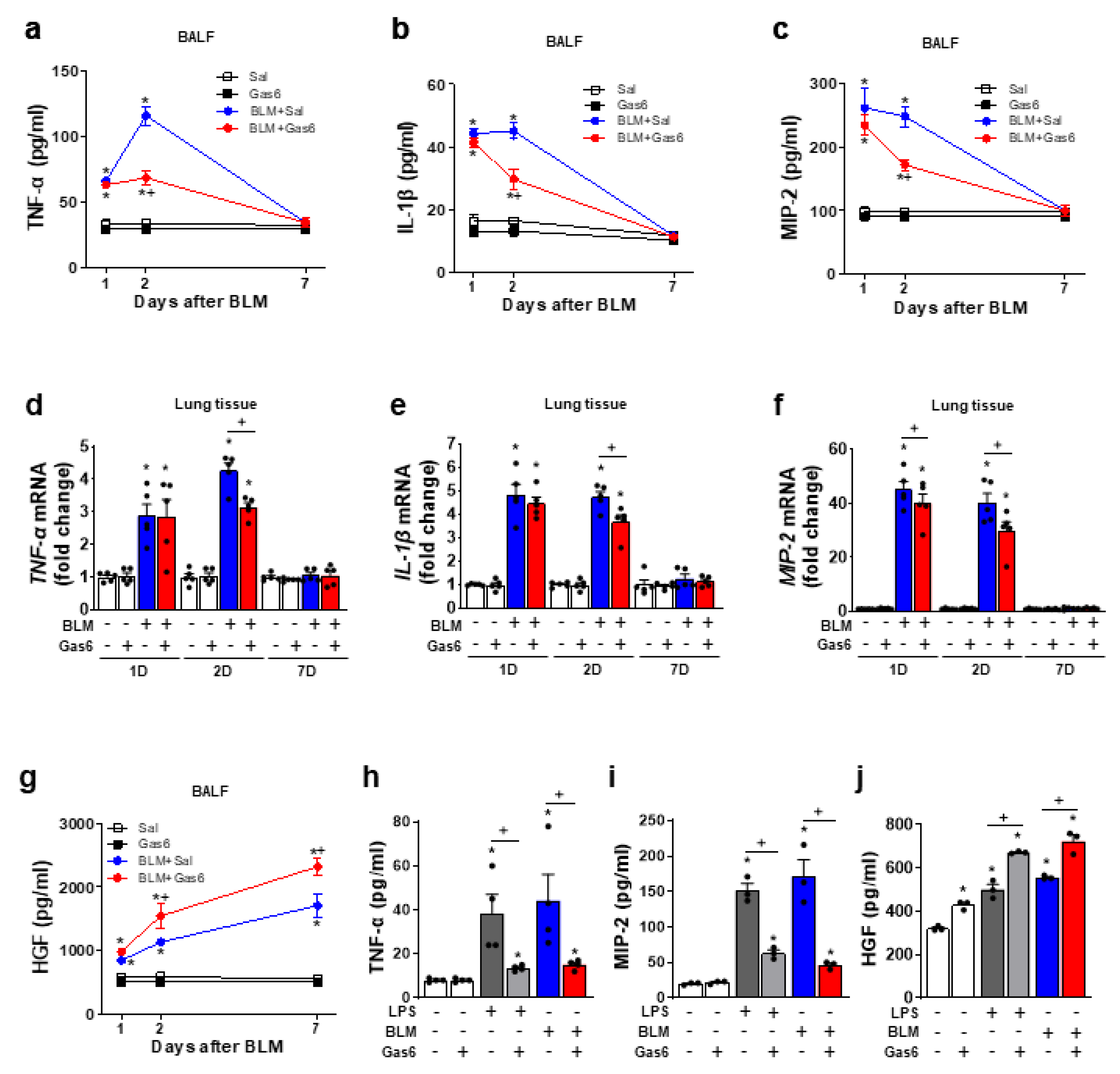 Biomedicines 09 01674 g001