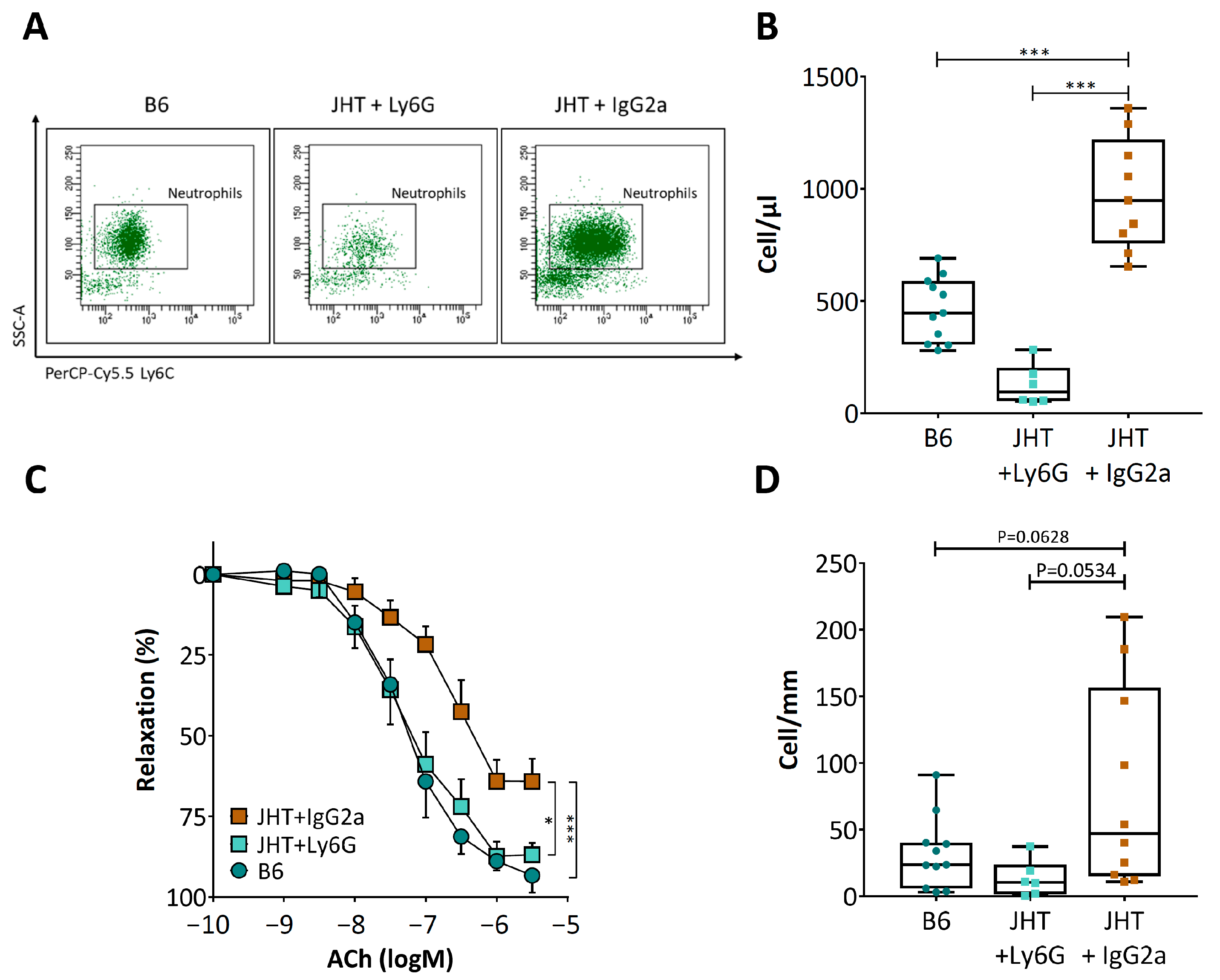 Biomedicines 09 01686 g005