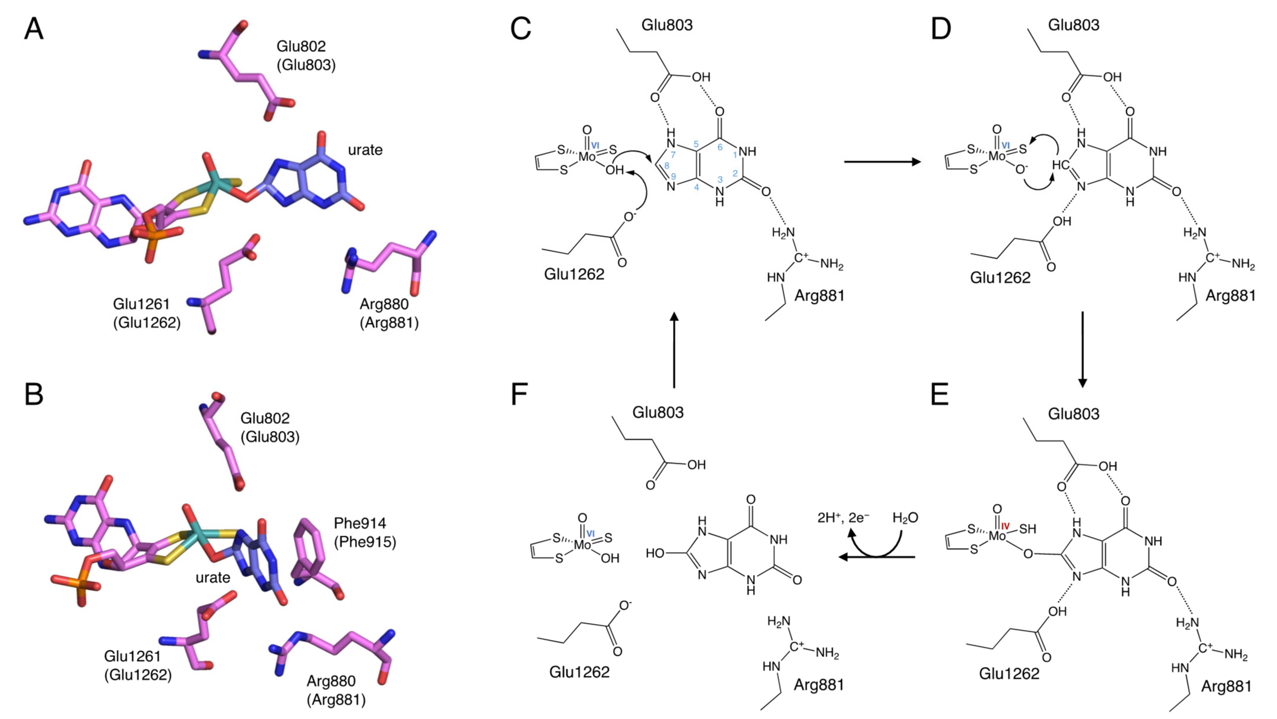 Biomedicines 09 01723 g003 Biomedicines 09 01723 g003