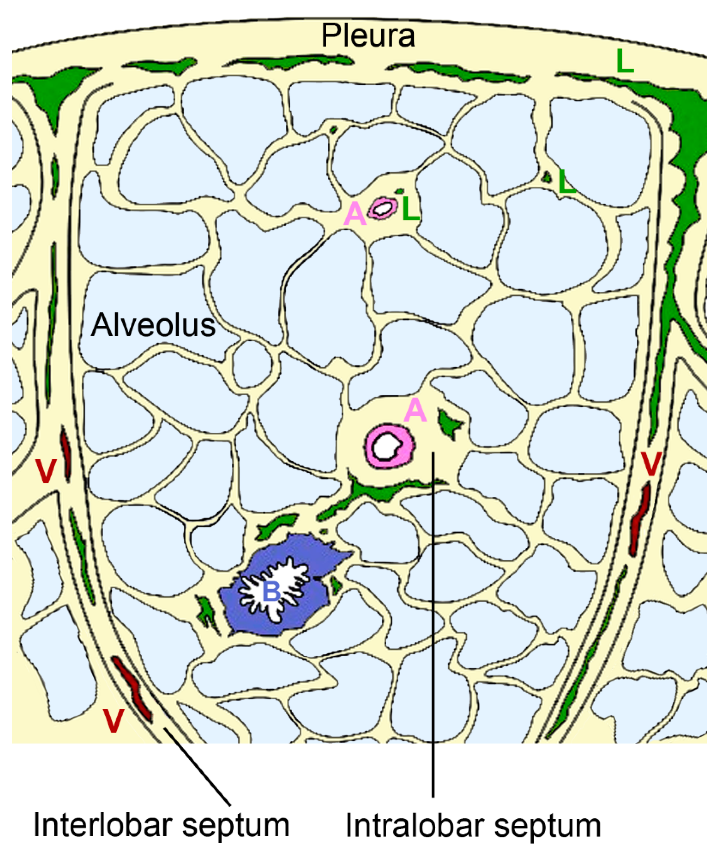 Biomedicines 09 01732 g004
