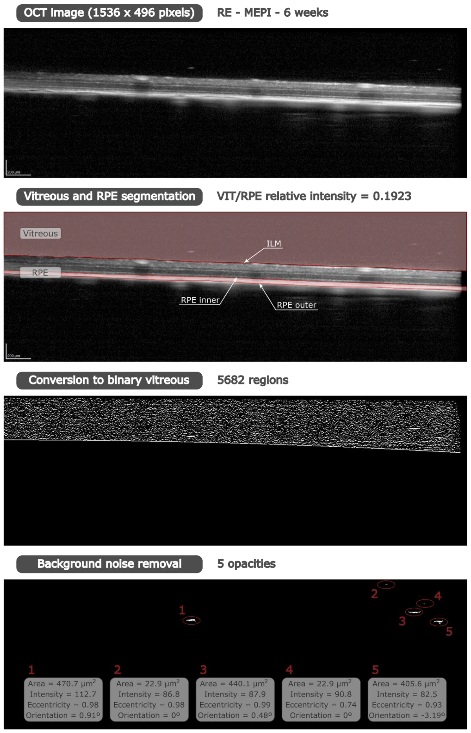 Biomedicines 09 01792 g001