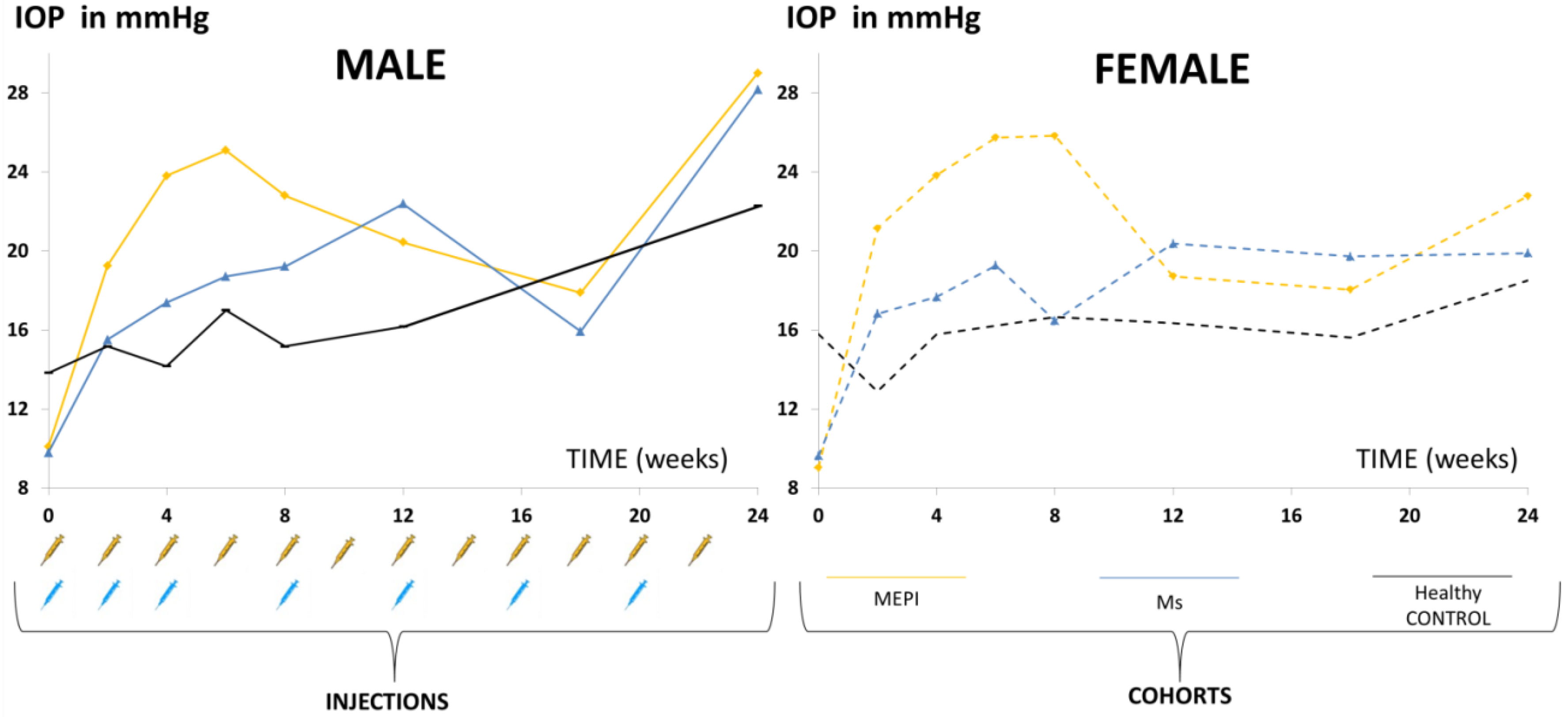 Biomedicines 09 01792 g002
