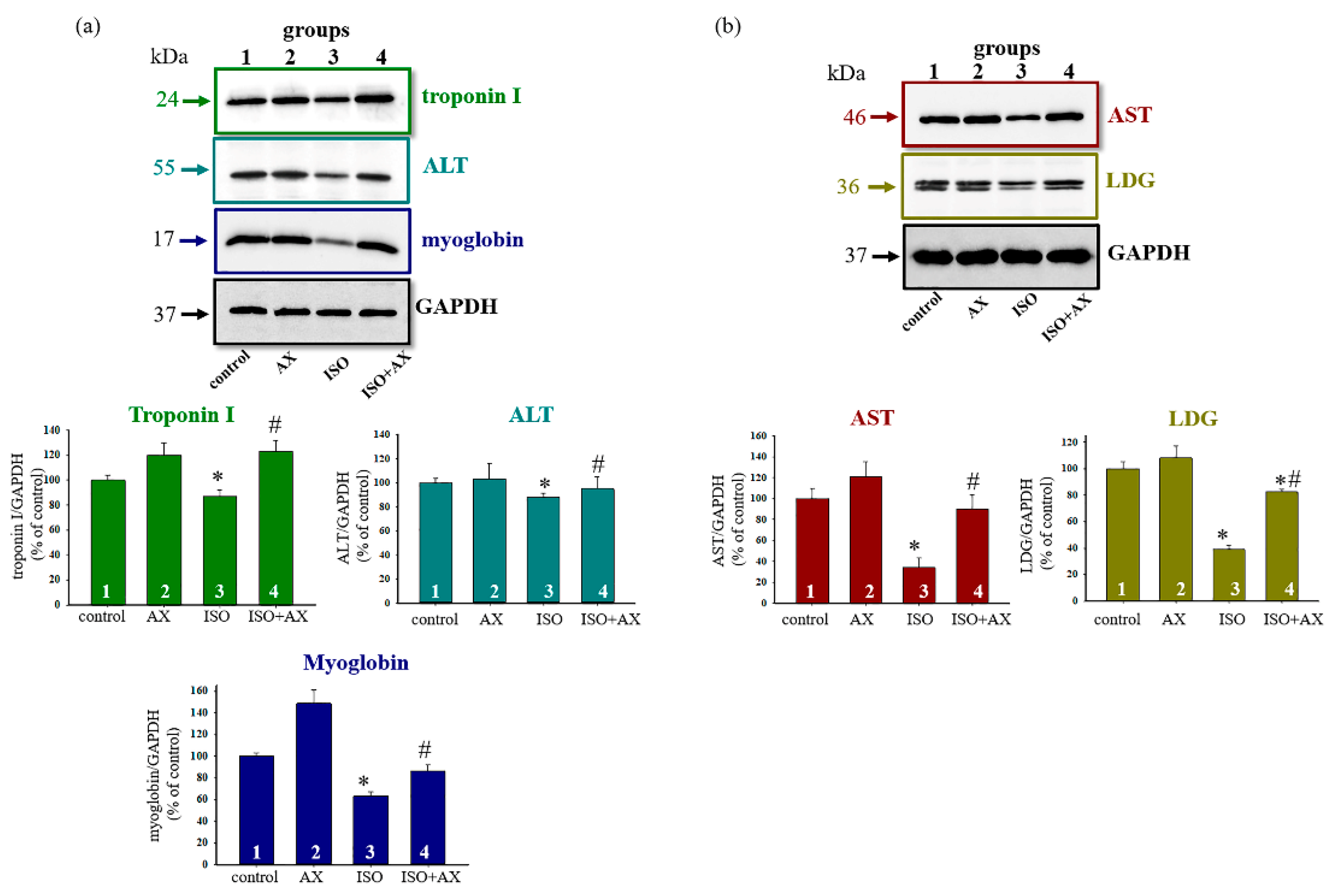 Biomedicines 09 01793 g001