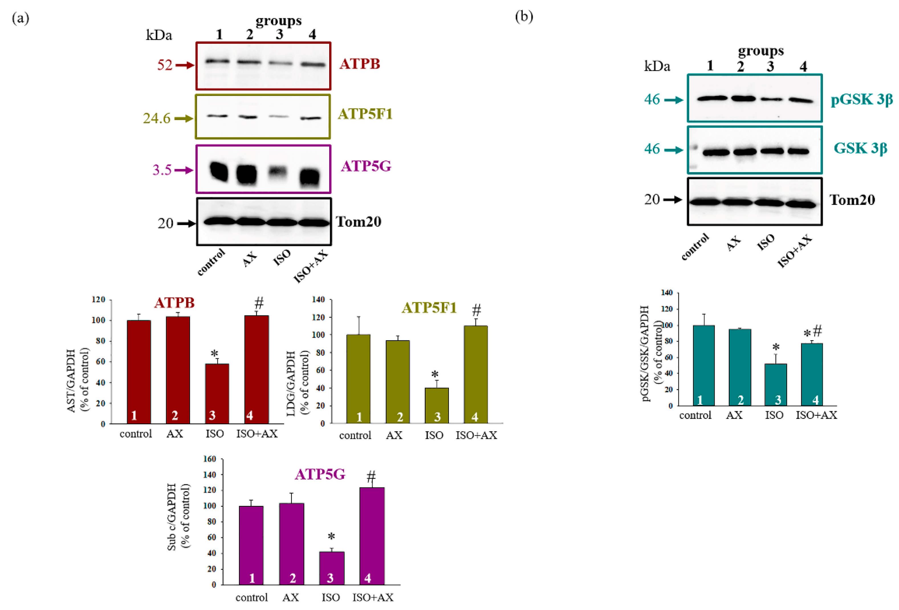 Biomedicines 09 01793 g005