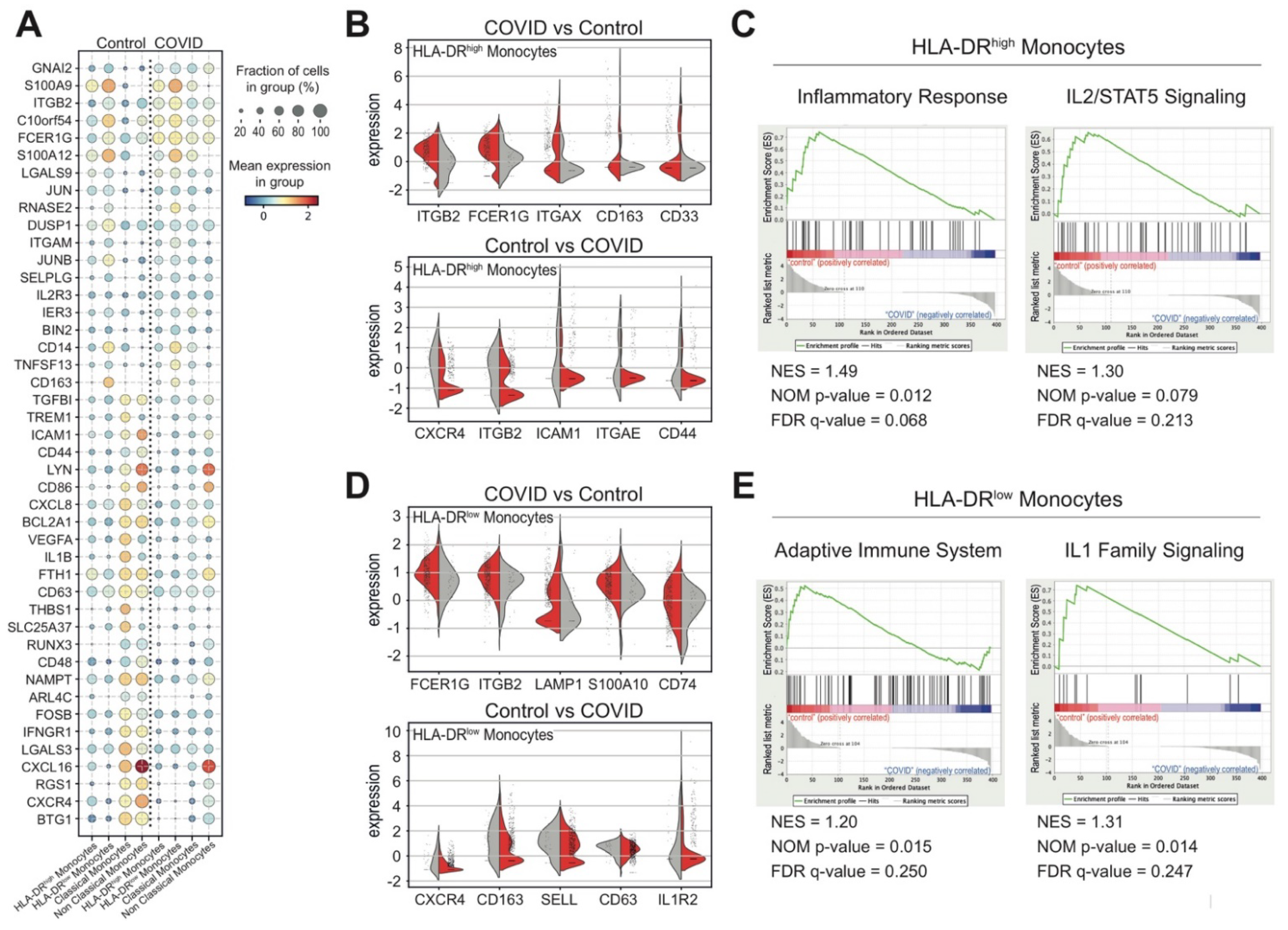 Biomedicines 09 01794 g005