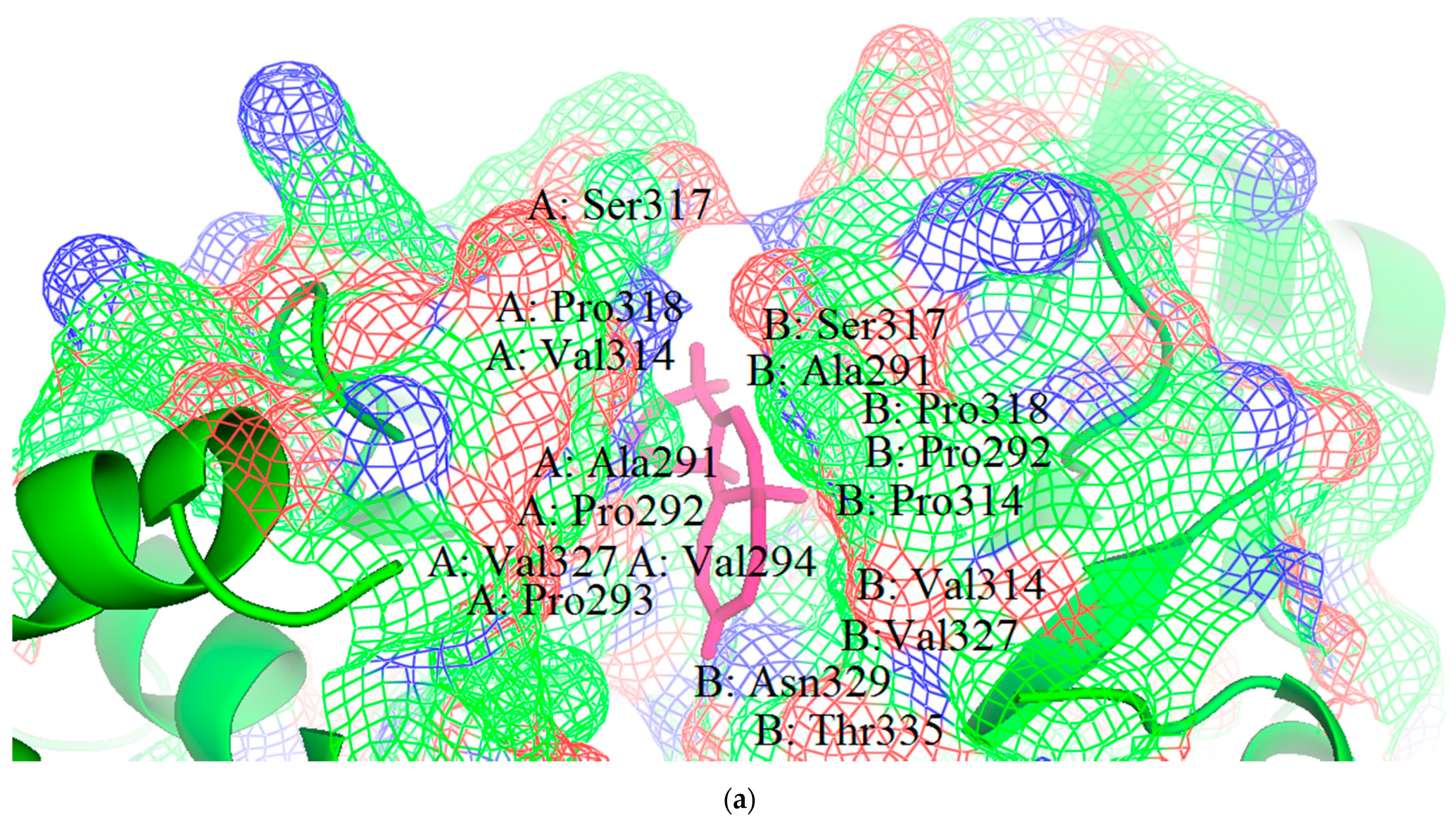 Biomedicines 09 01796 g004a