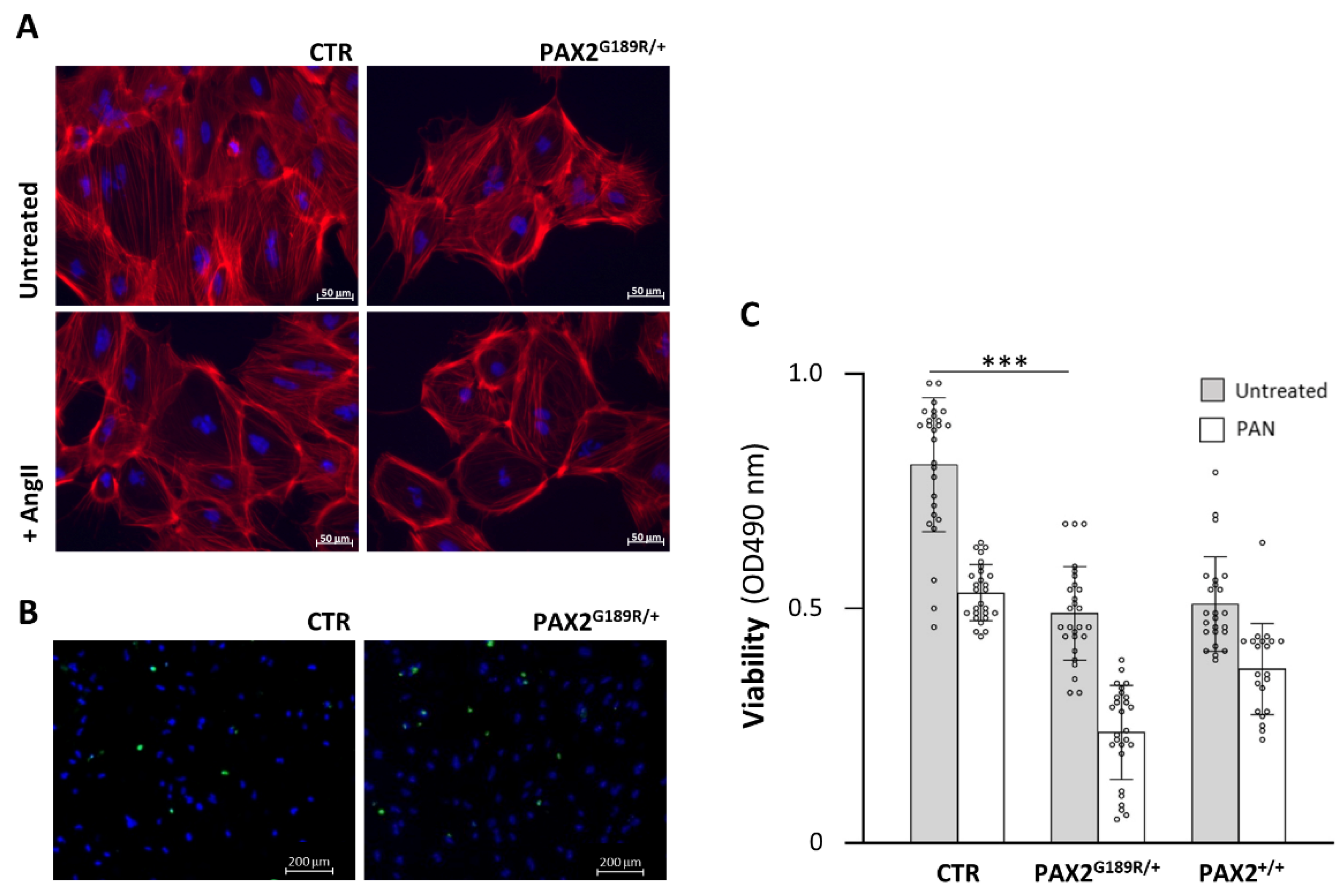 Biomedicines 09 01808 g003