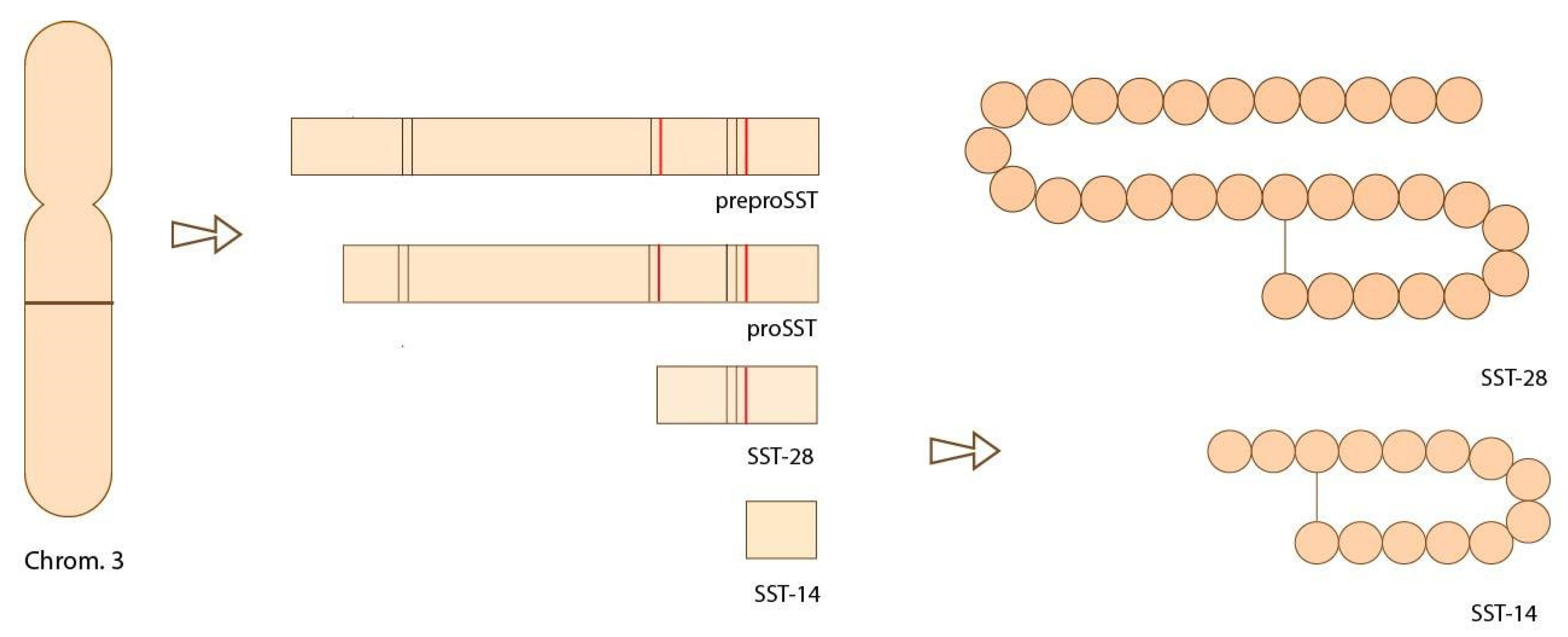 Biomedicines 09 01810 g001 Biomedicines 09 01810 g001