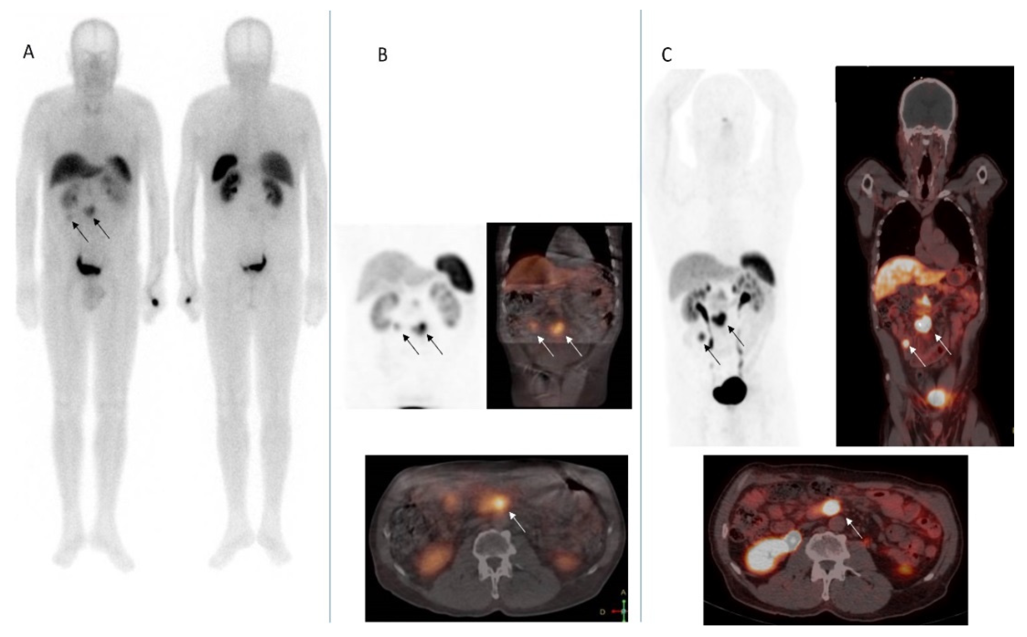 Biomedicines 09 01810 g003 Biomedicines 09 01810 g003
