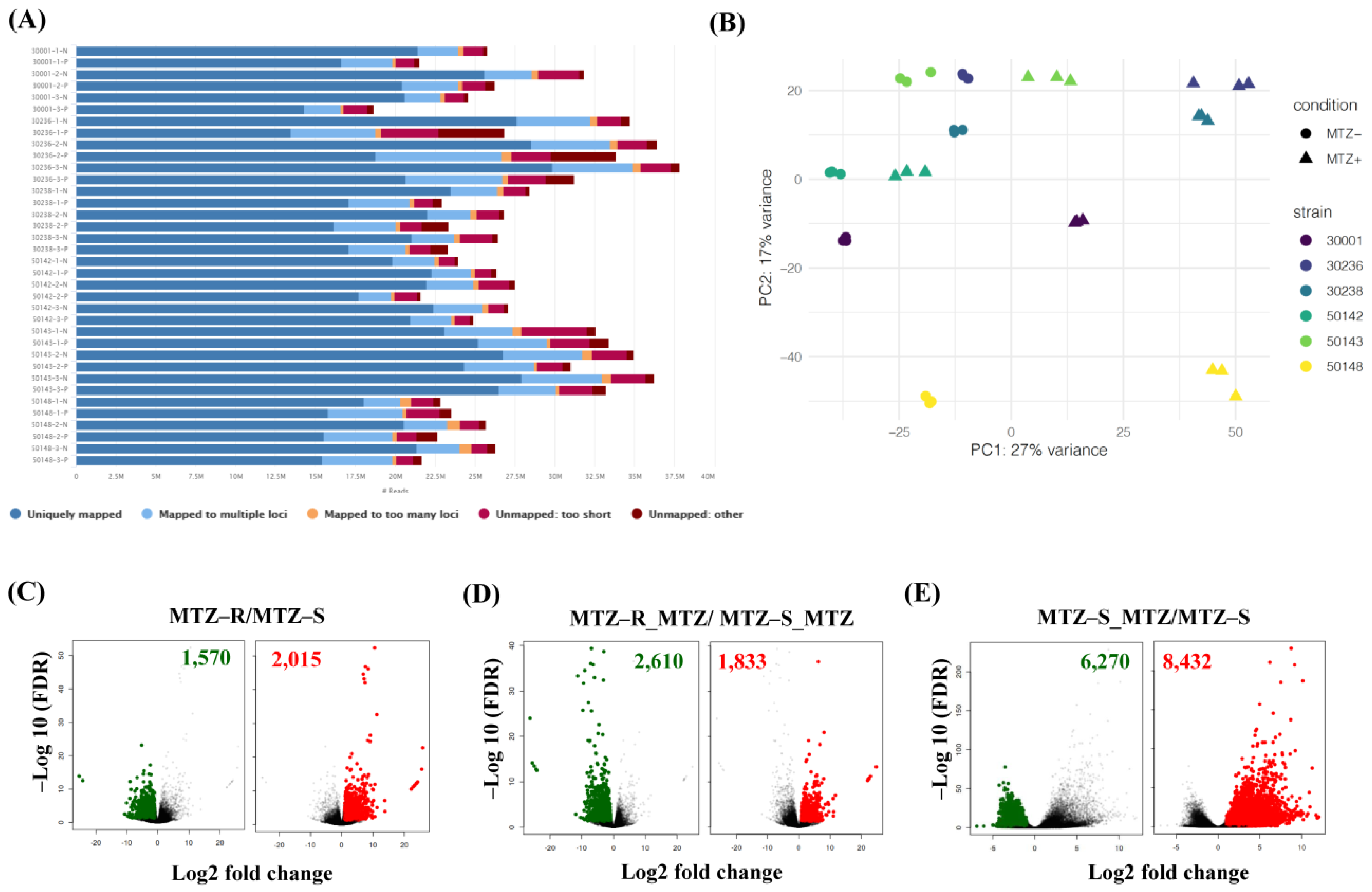 Biomedicines 09 01817 g002
