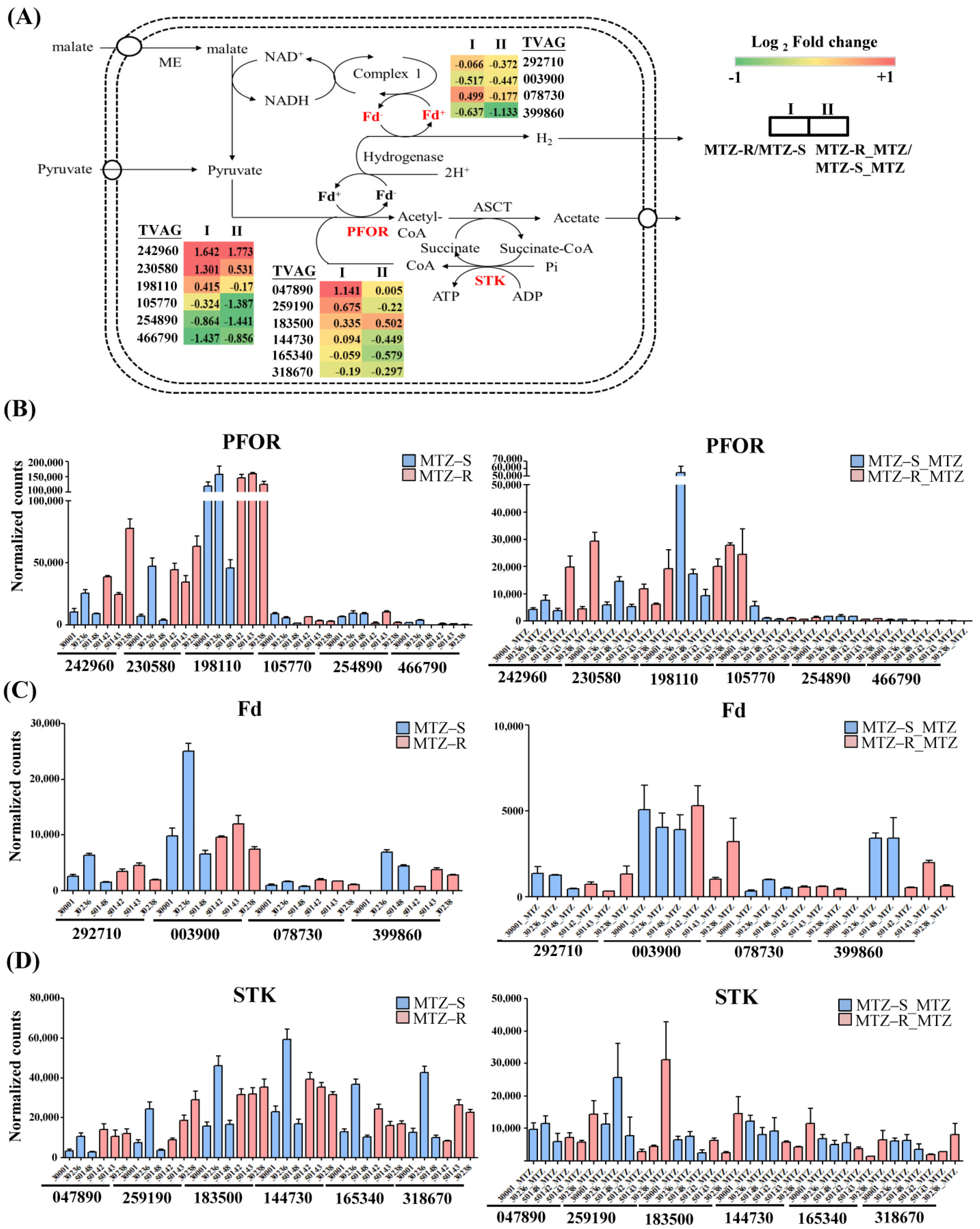 Biomedicines 09 01817 g003
