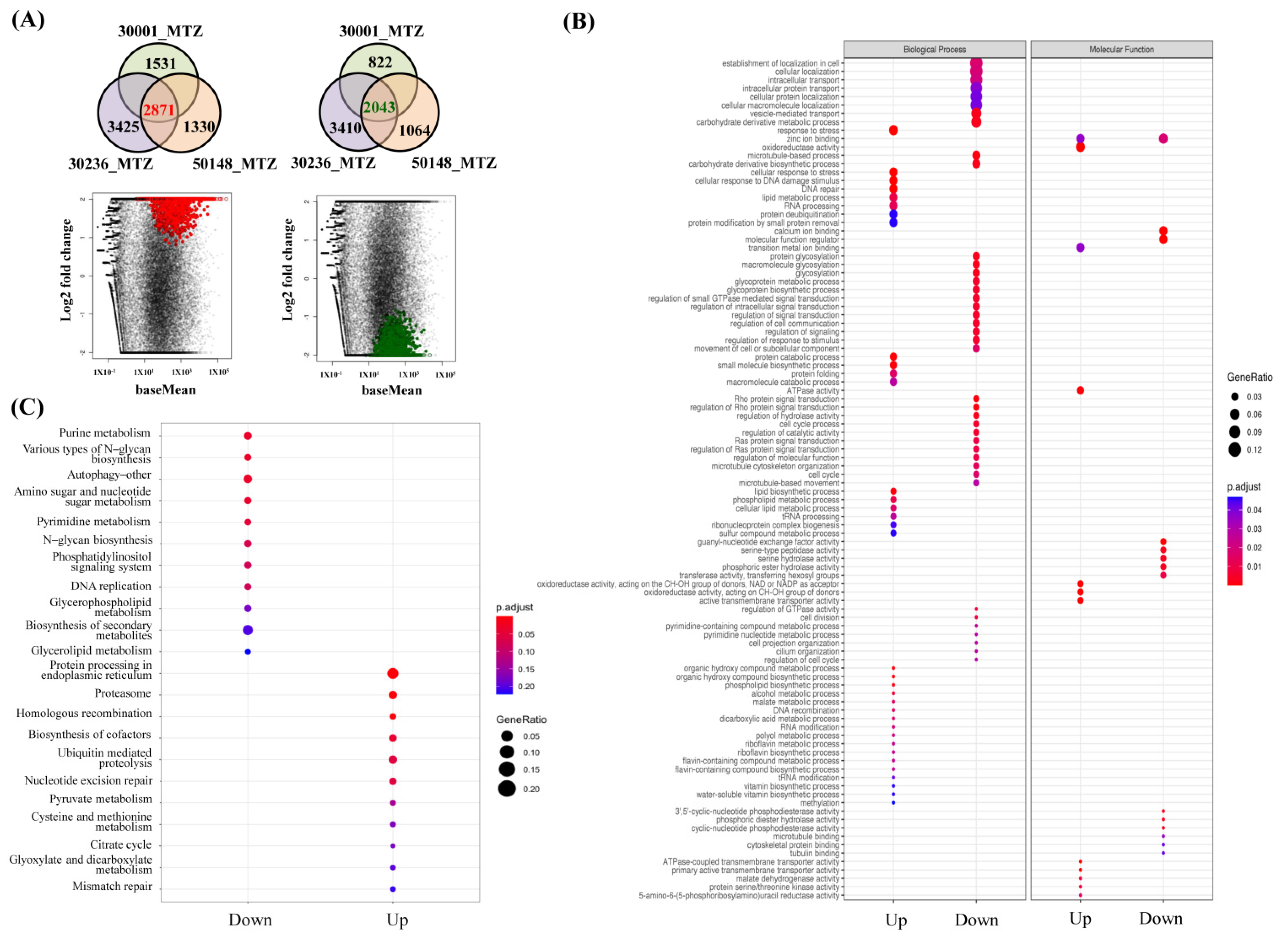 Biomedicines 09 01817 g006